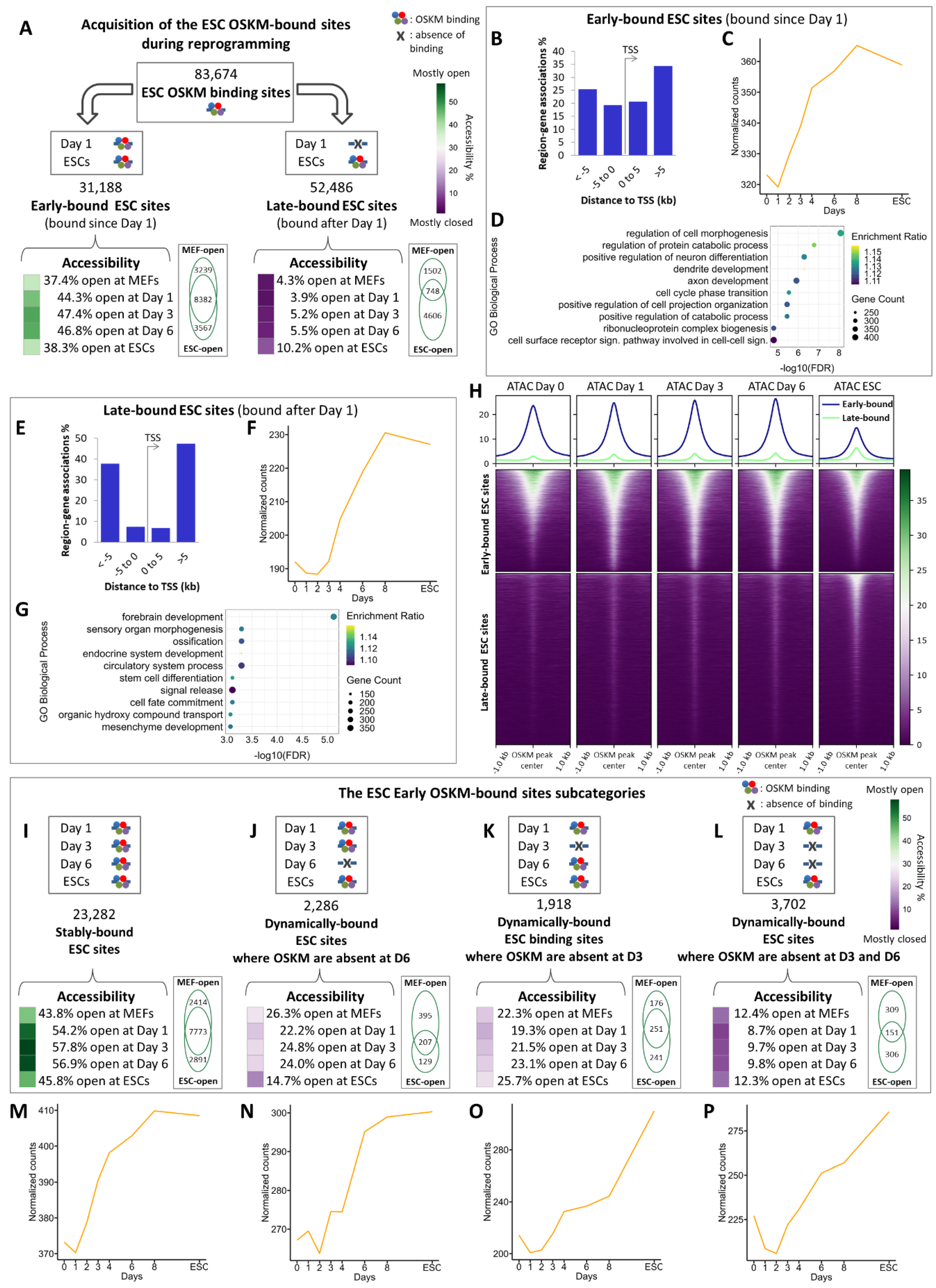 Preprints 137979 g002