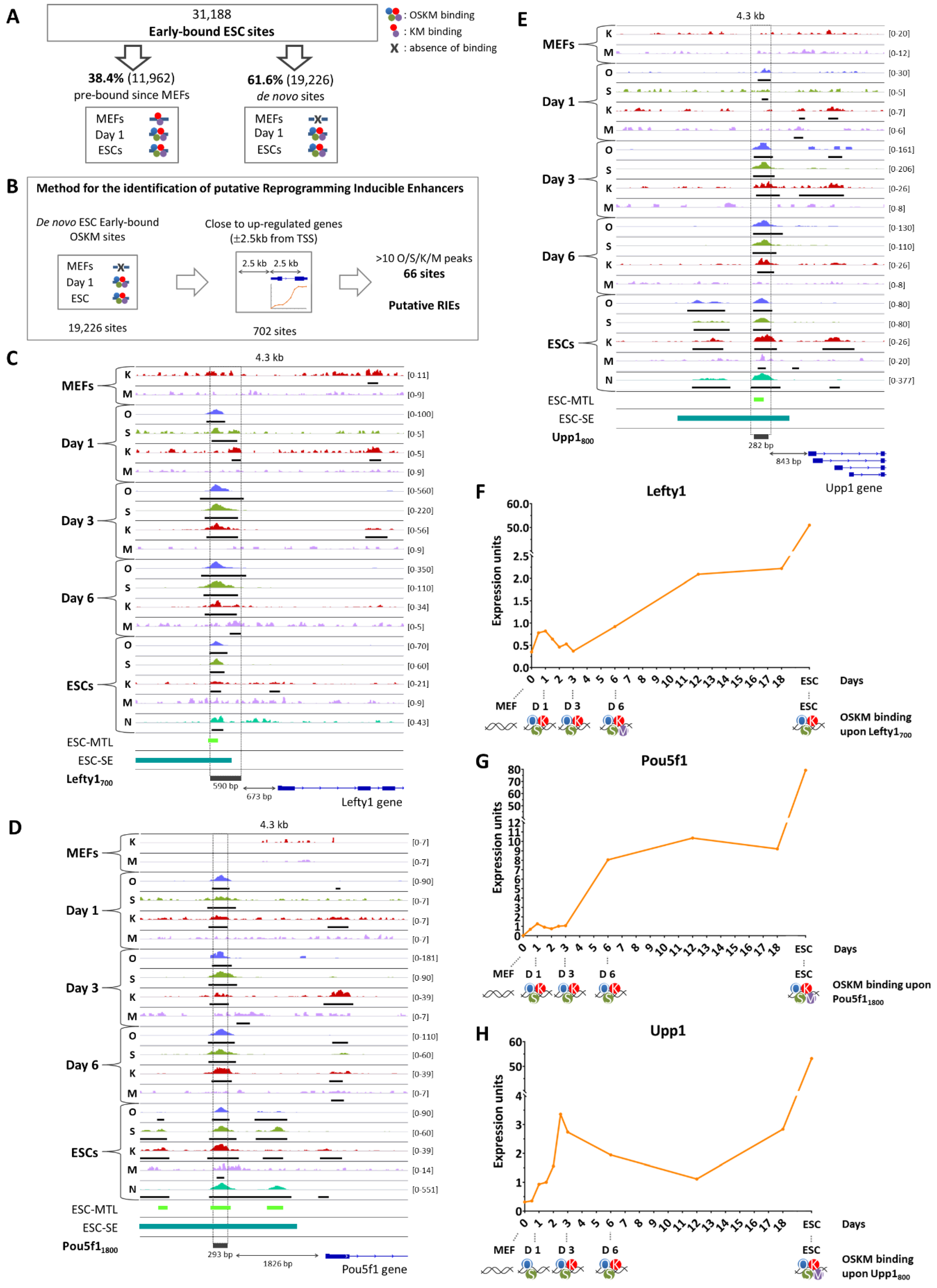 Preprints 137979 g003