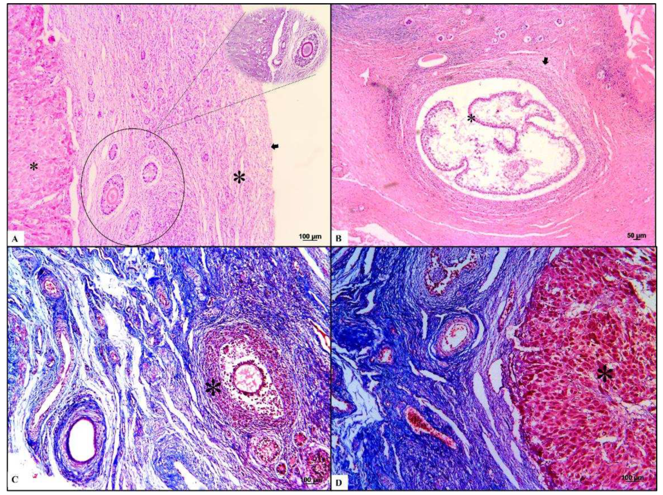 Preprints 78575 g002