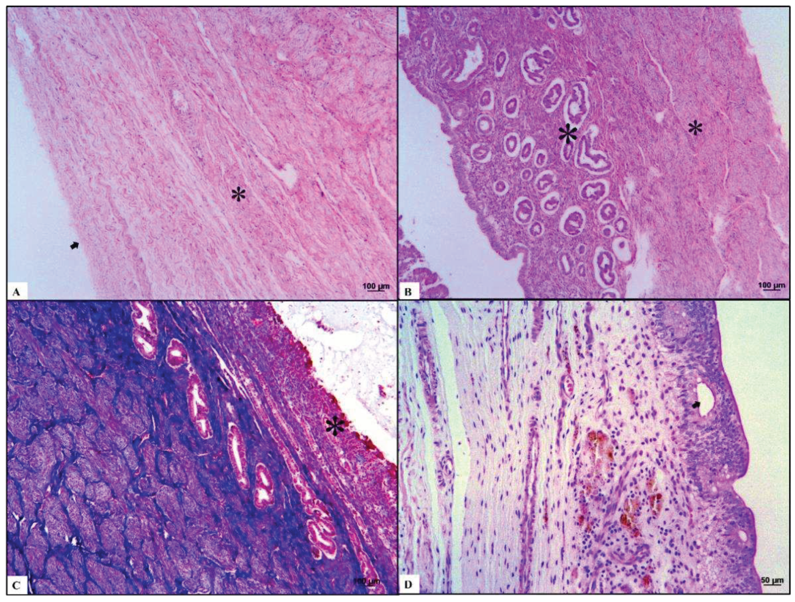 Preprints 78575 g003