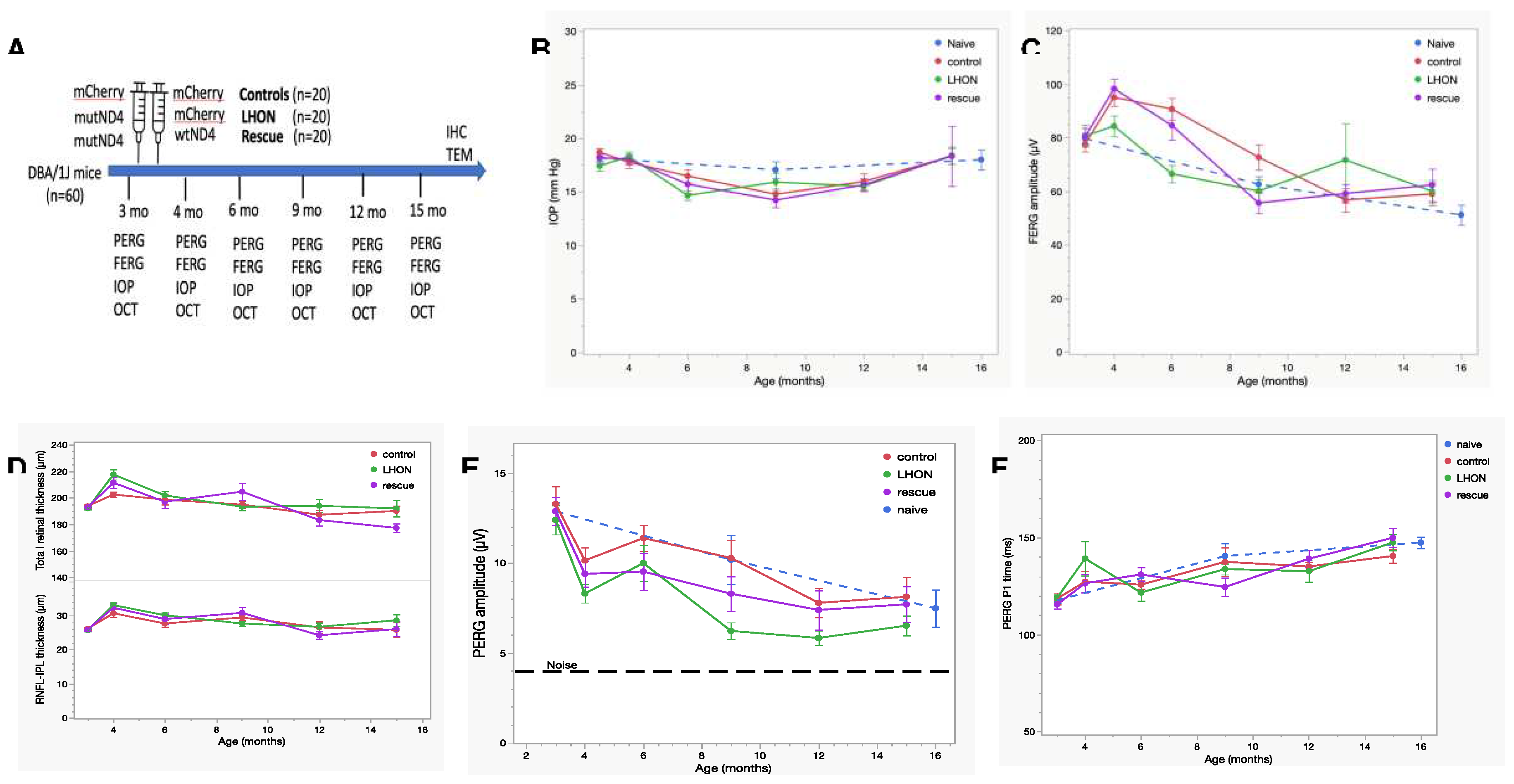 Preprints 86345 g002