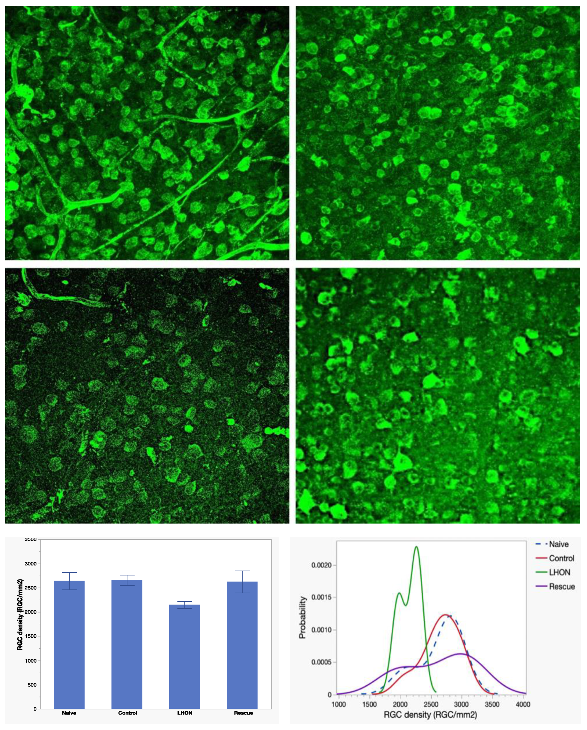 Preprints 86345 g004