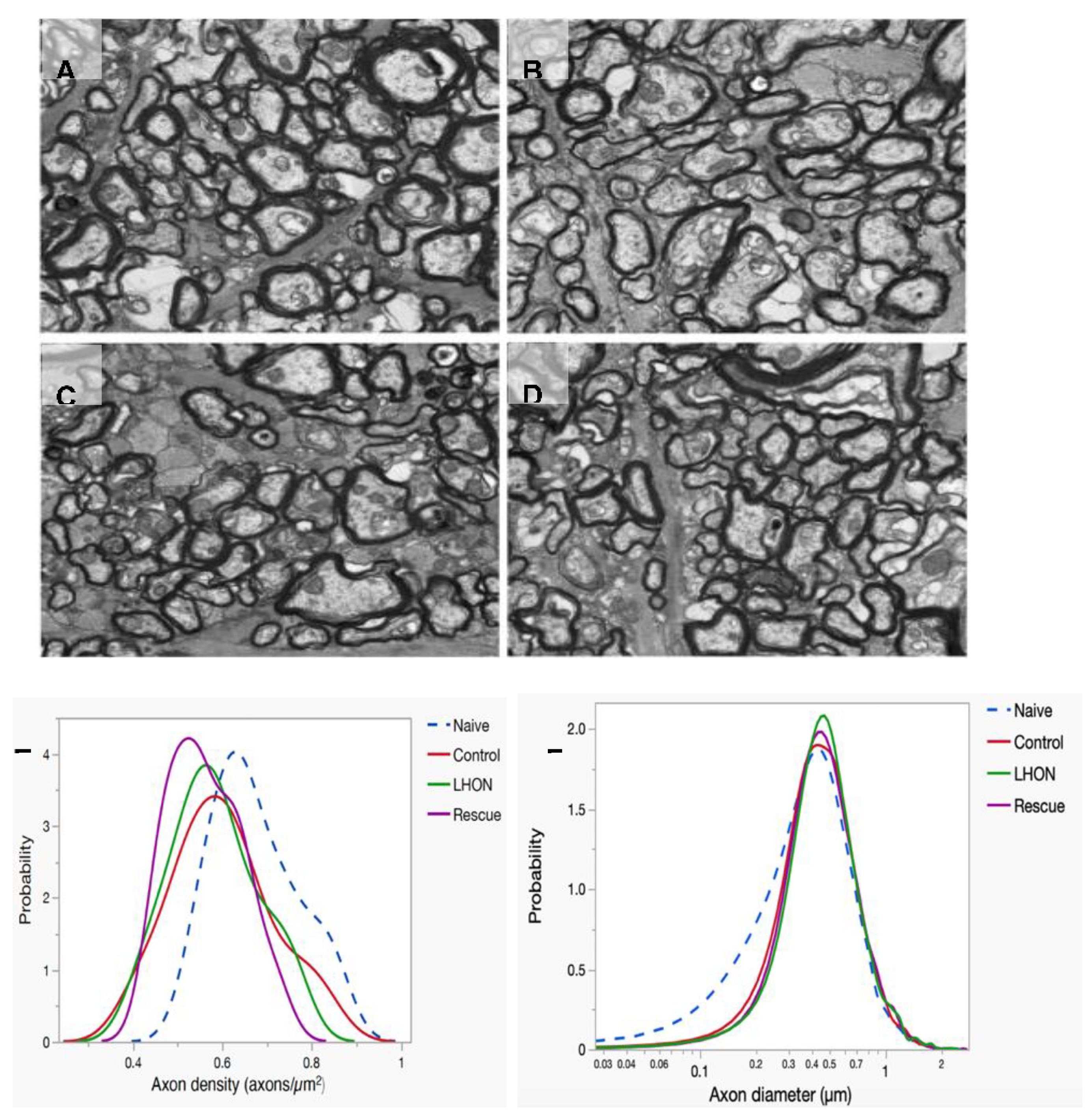 Preprints 86345 g005