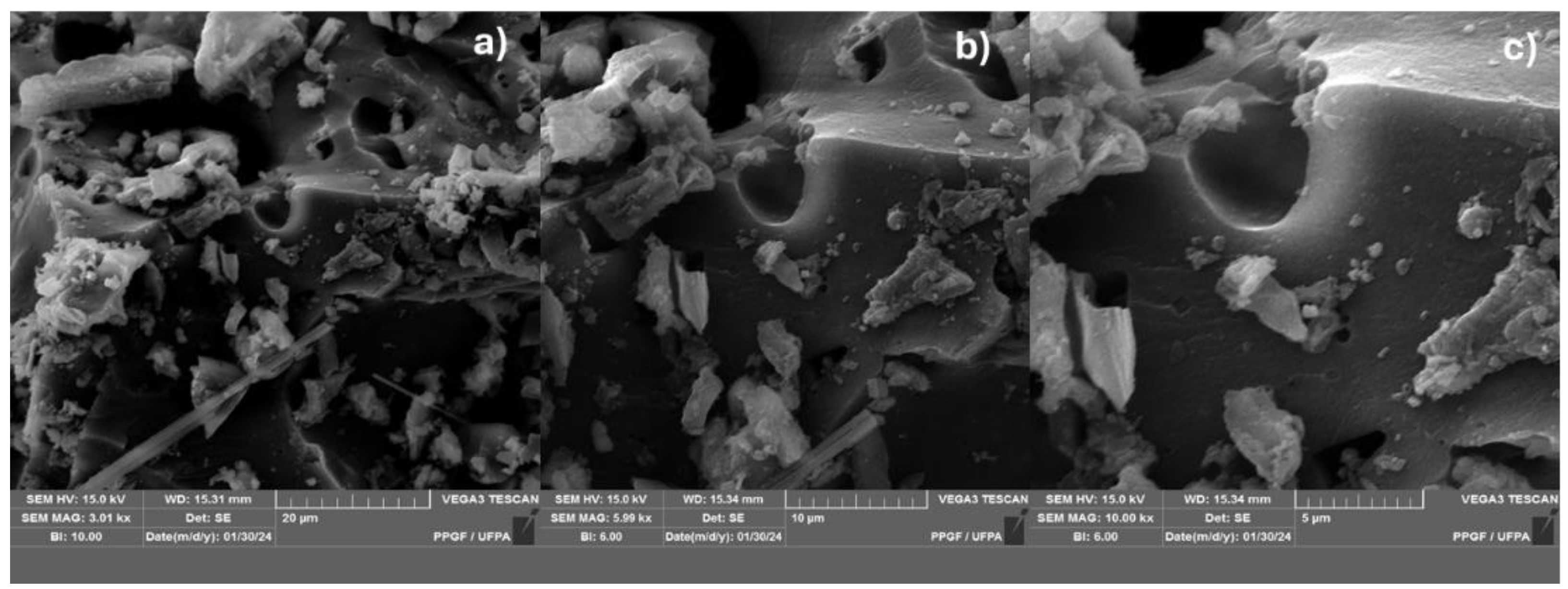 Preprints 115399 g007