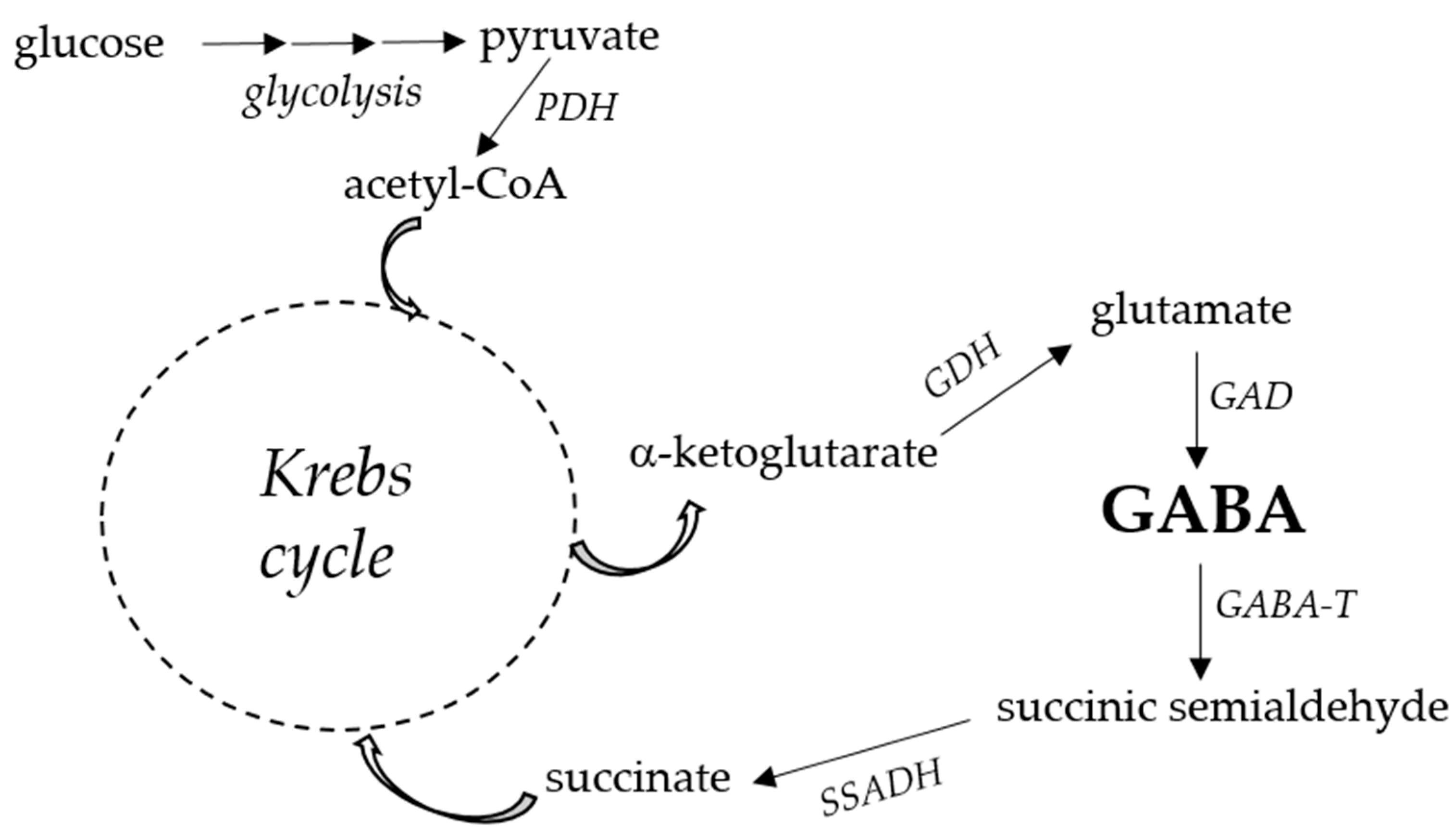 Preprints 91694 g002