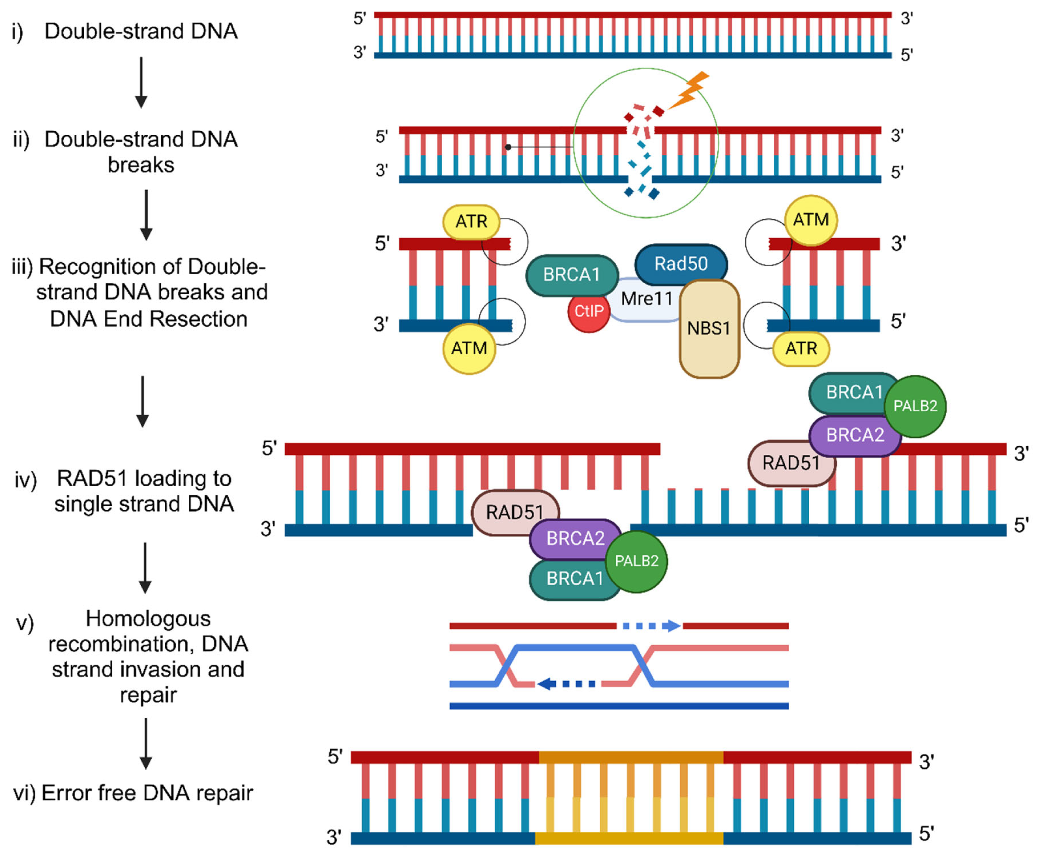 Preprints 112831 g001