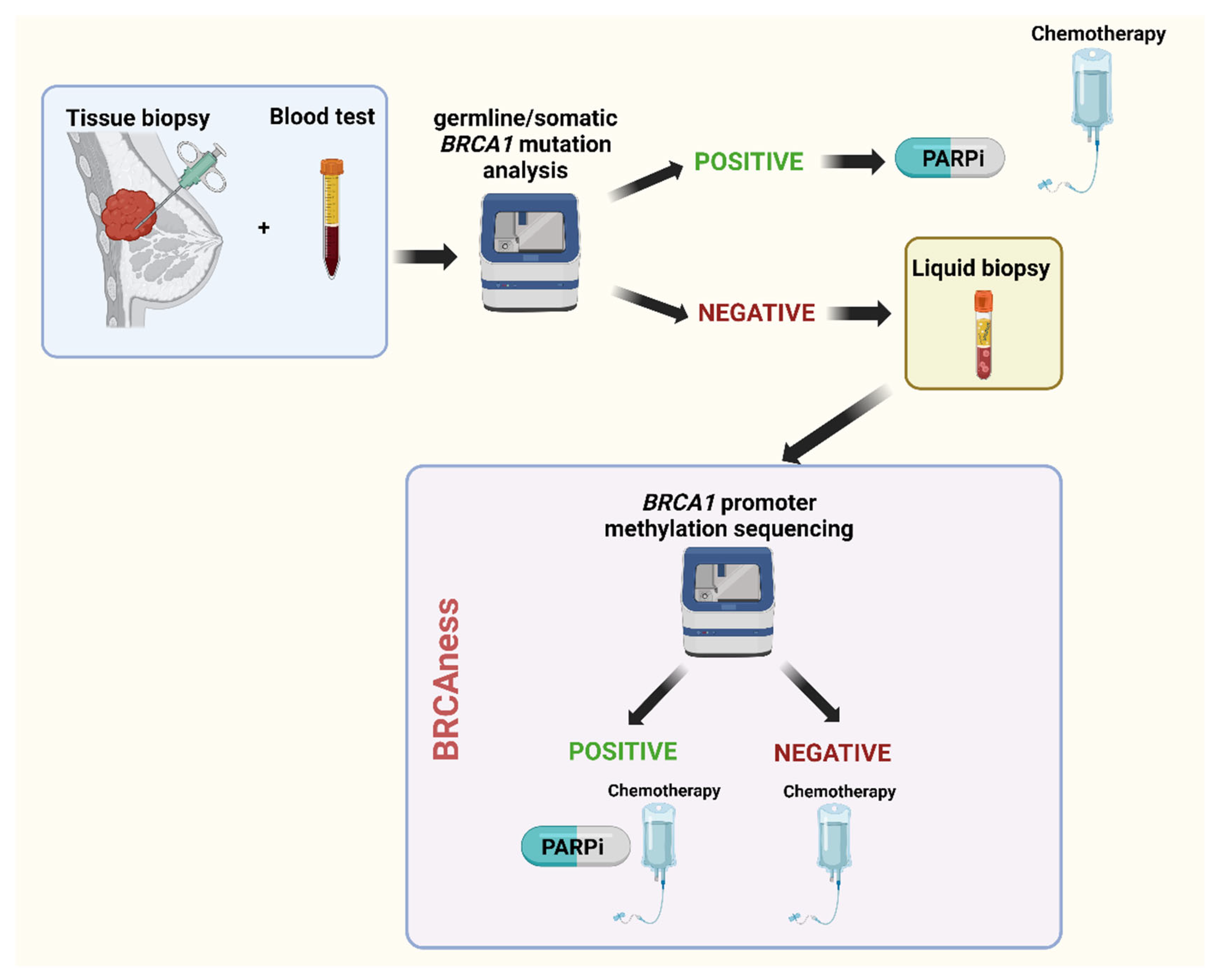 Preprints 112831 g002