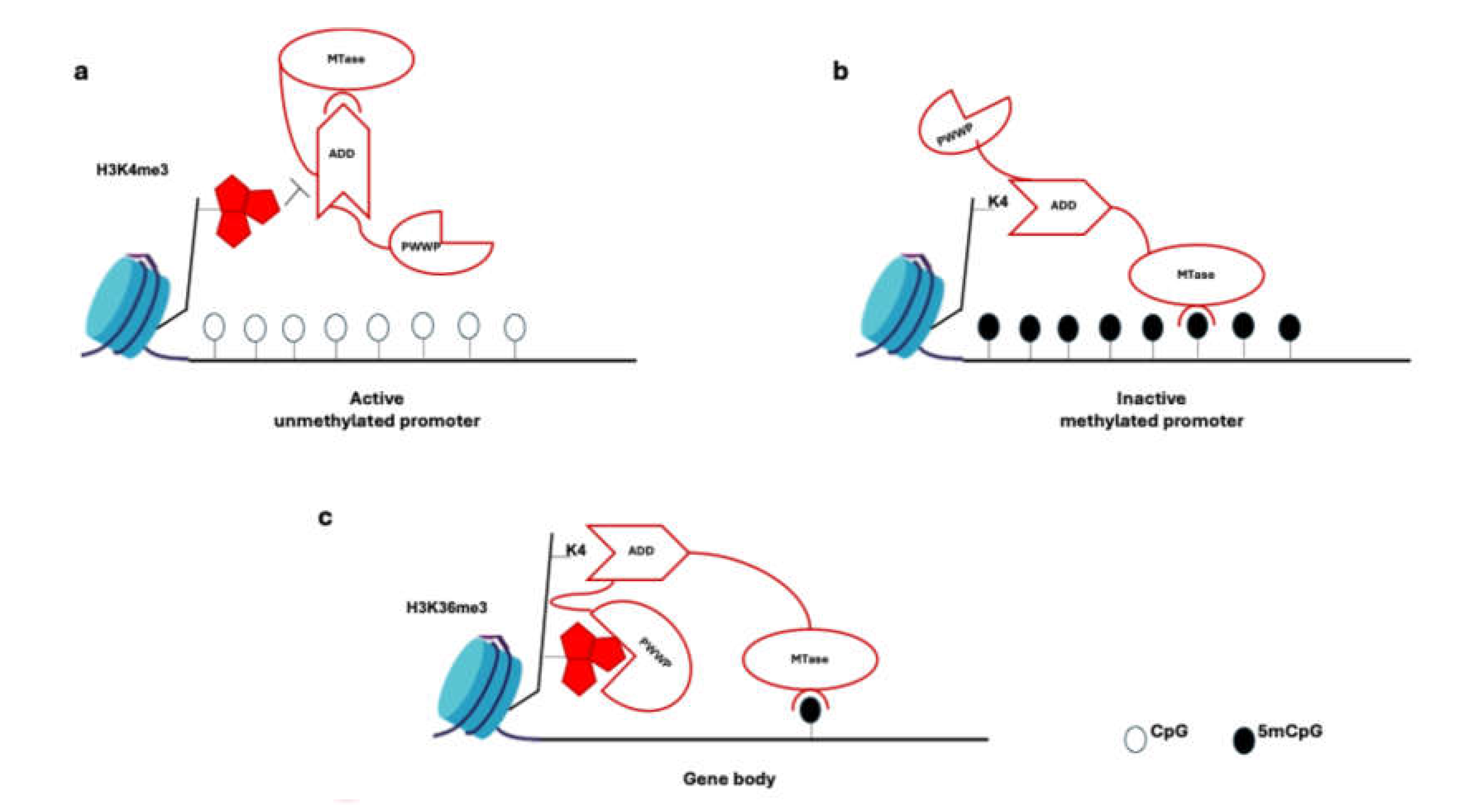 Preprints 114694 g002