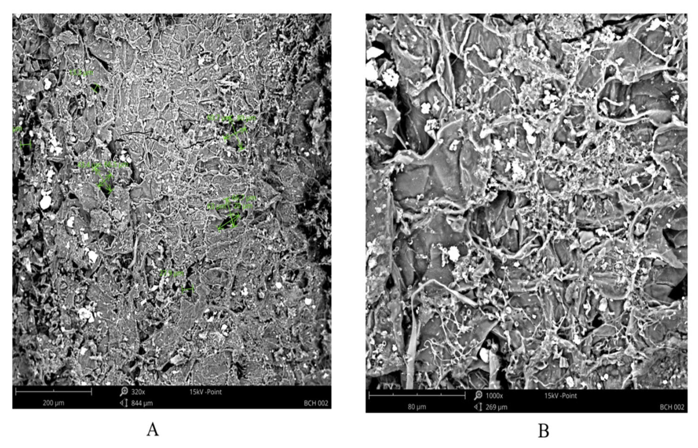 Preprints 119828 g005