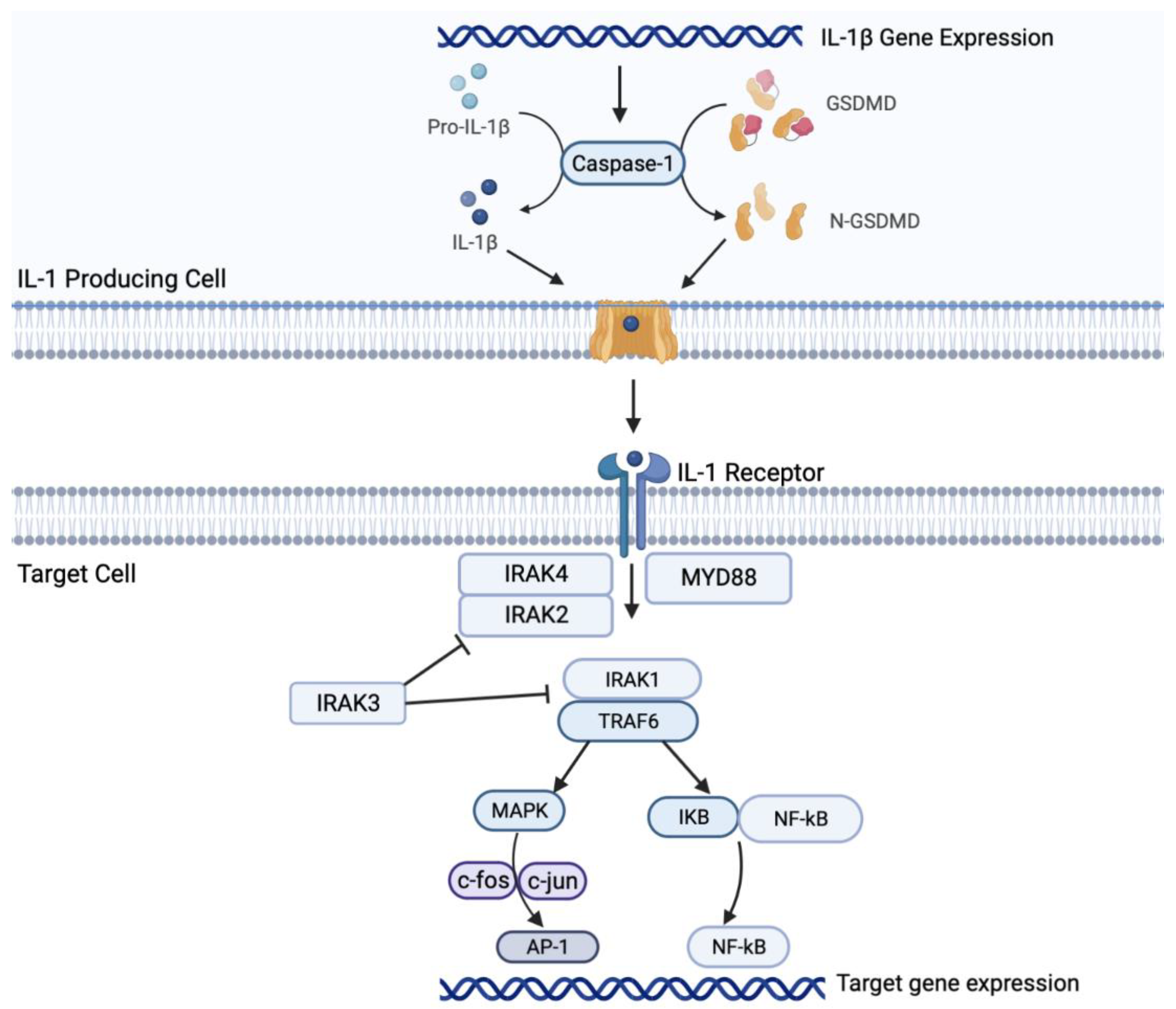 Preprints 77749 g001