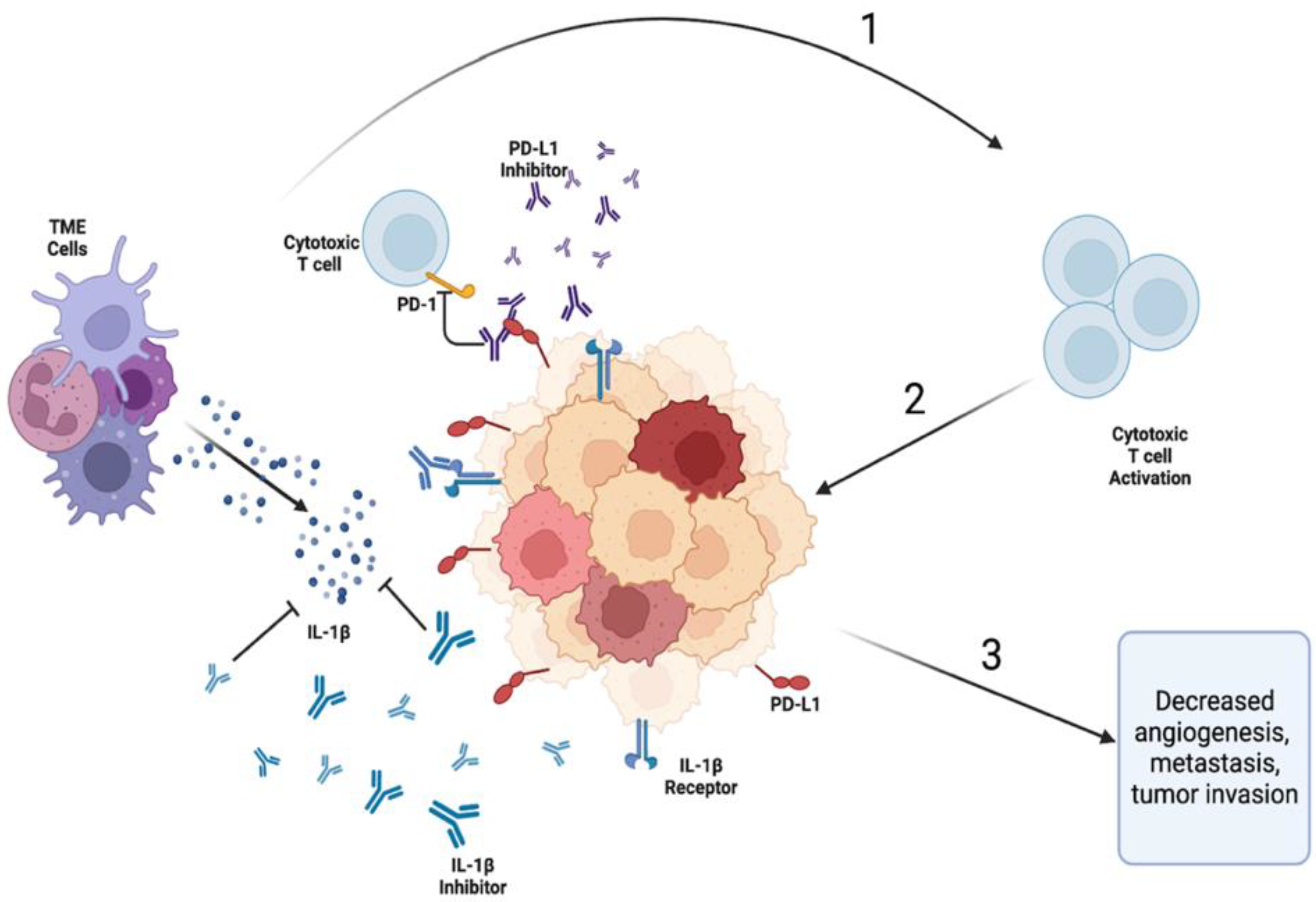 Preprints 77749 g003