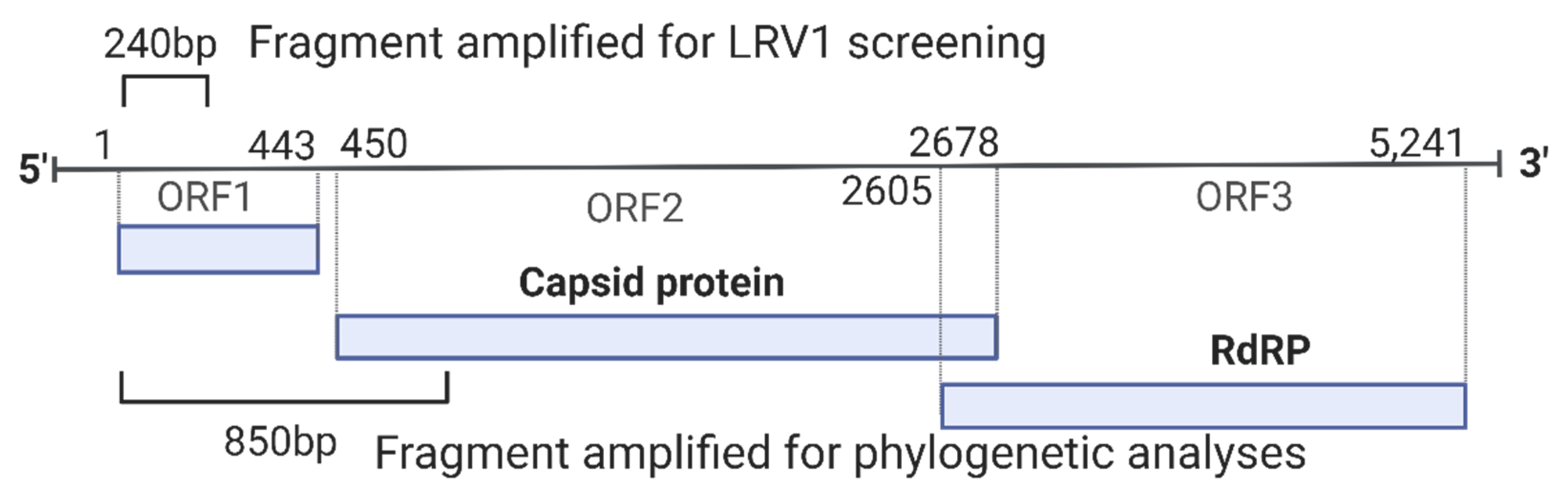 Preprints 81936 g001