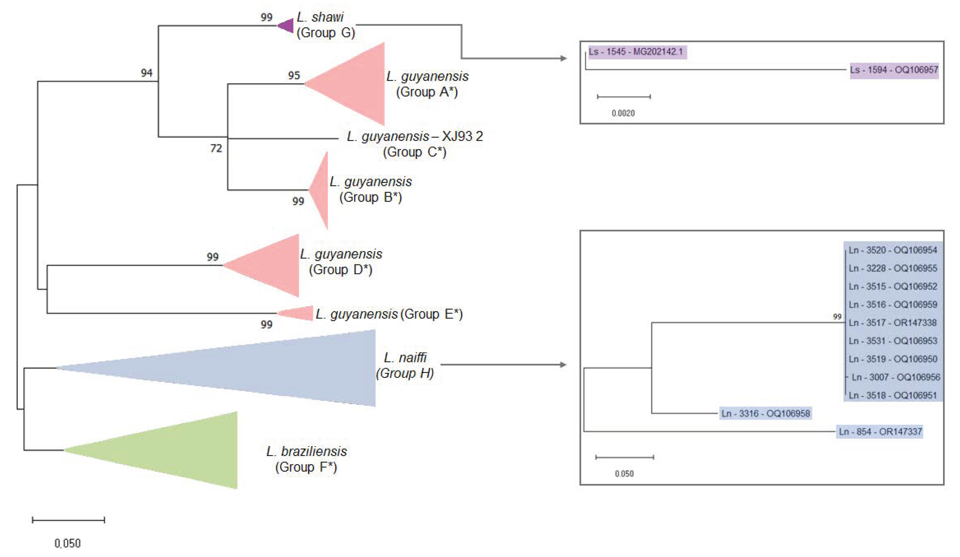 Preprints 81936 g003