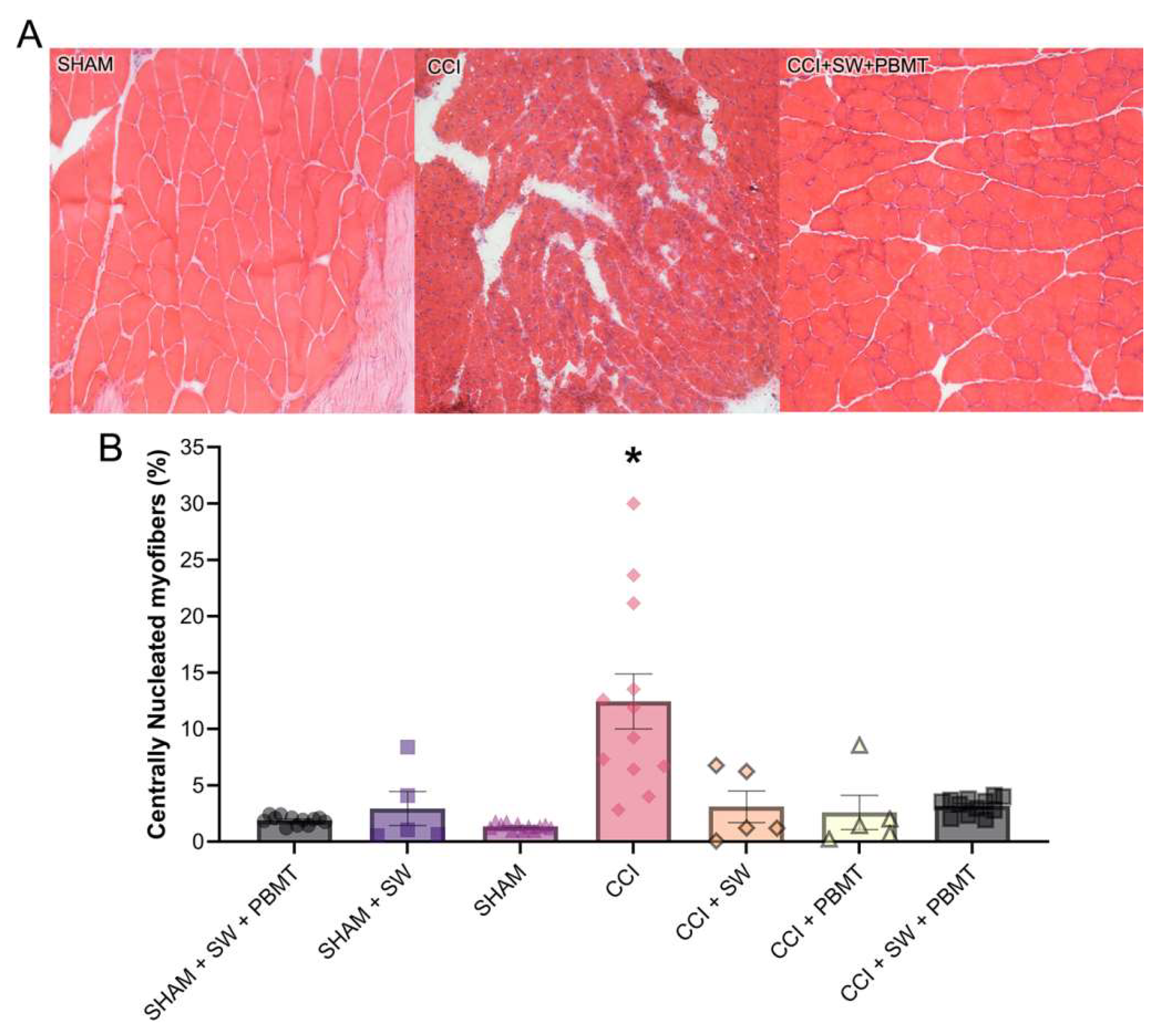 Preprints 116307 g004