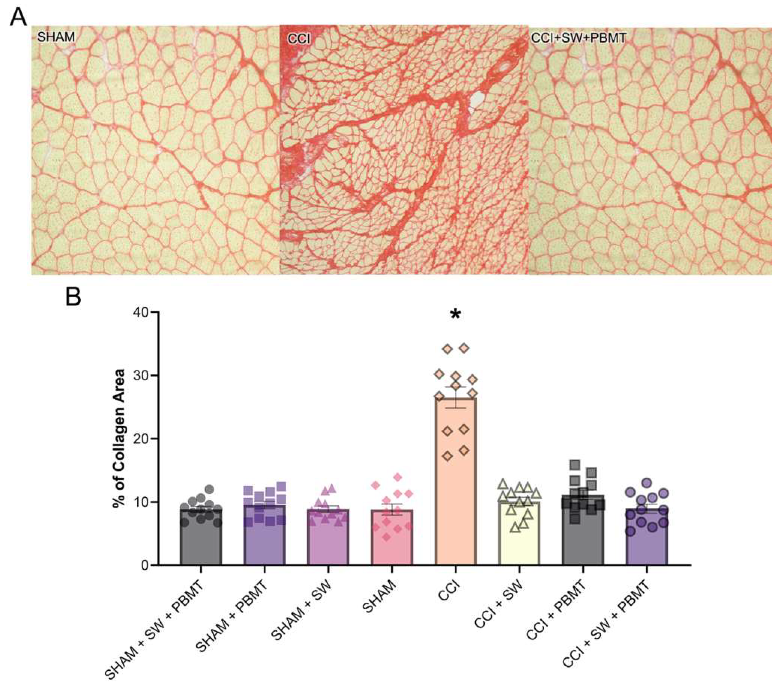 Preprints 116307 g005