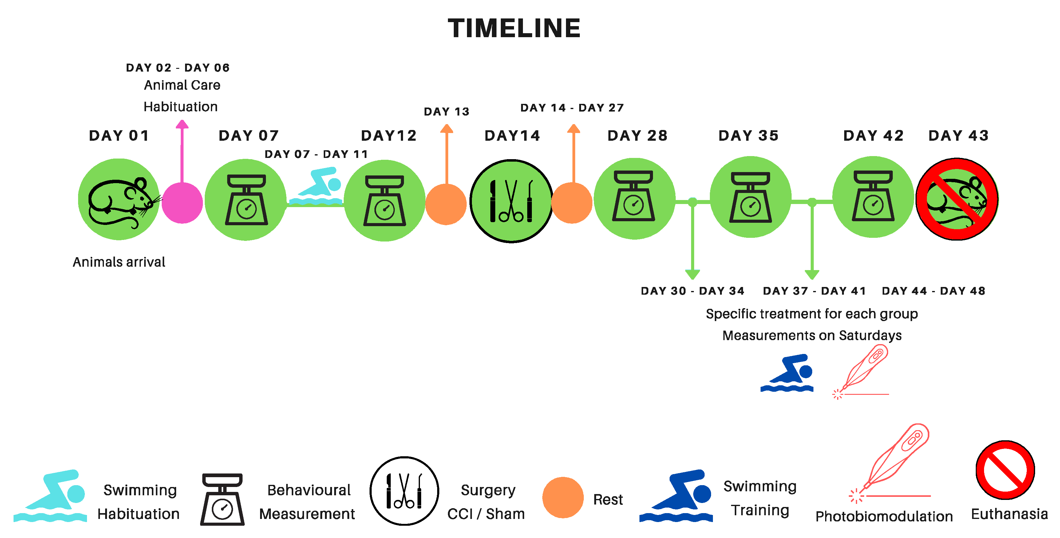 Preprints 116307 g008