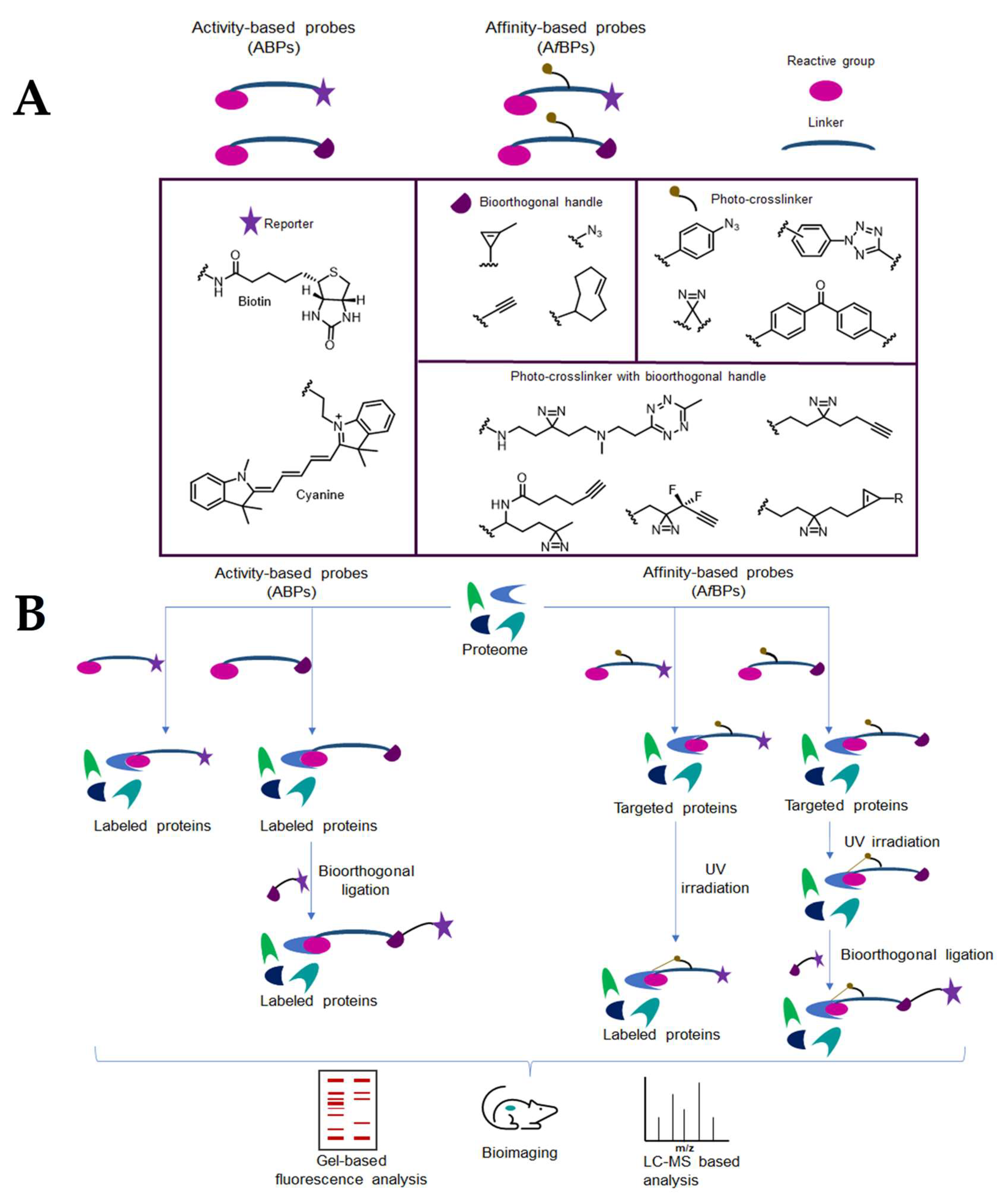 Preprints 75327 g008