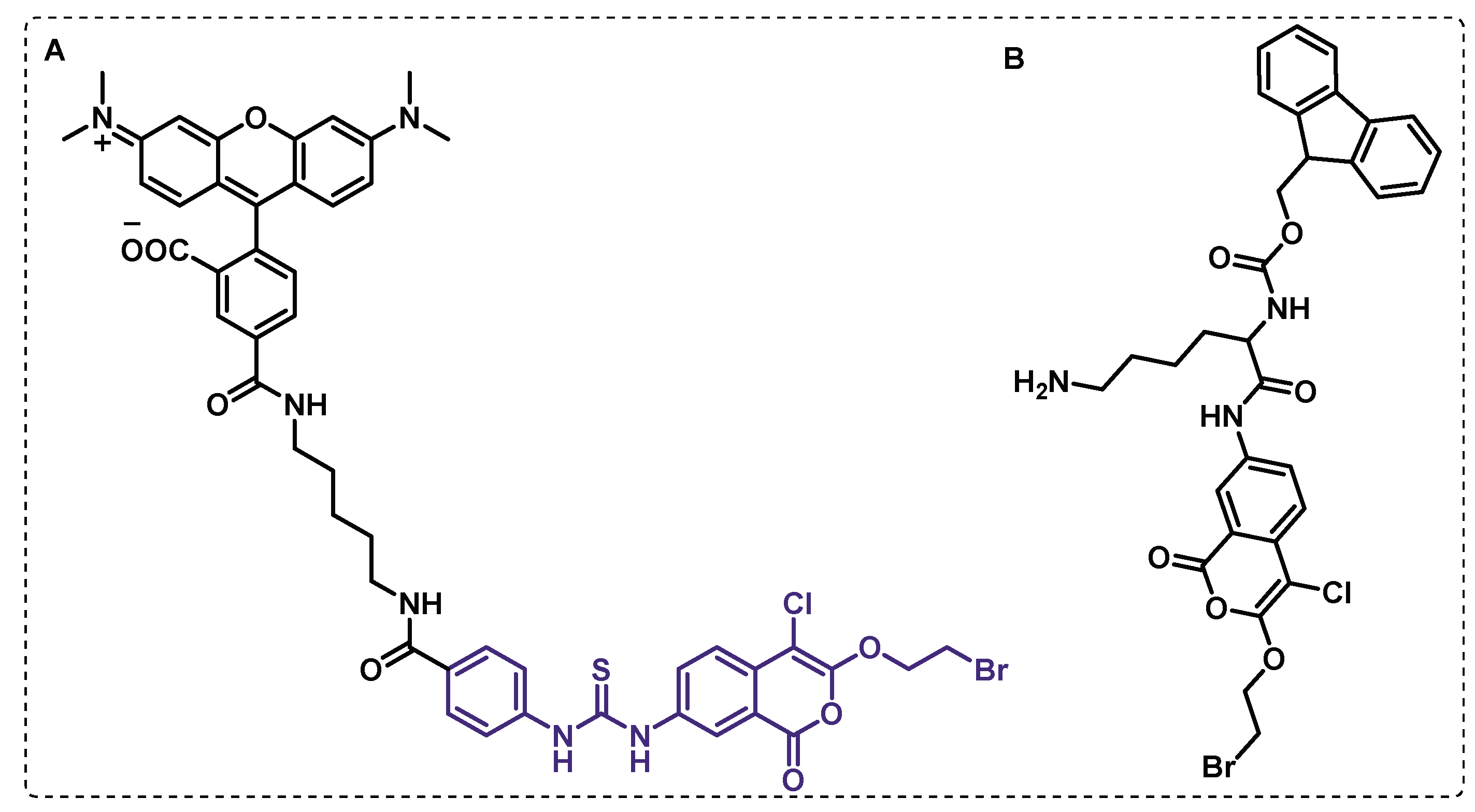 Preprints 75327 g010