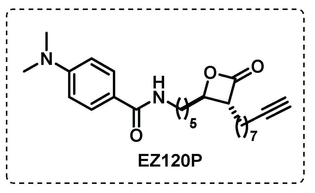 Preprints 75327 g016