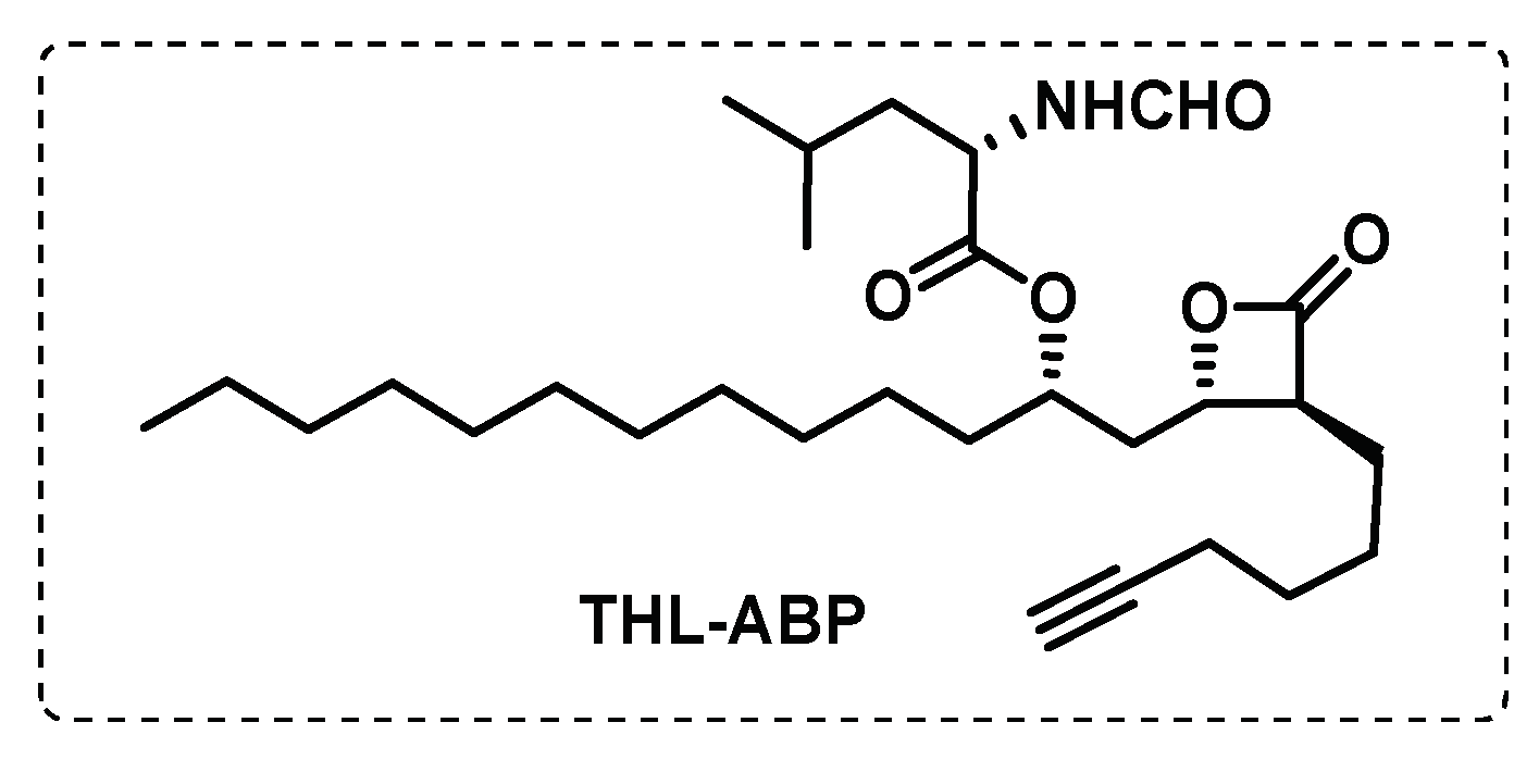 Preprints 75327 g017