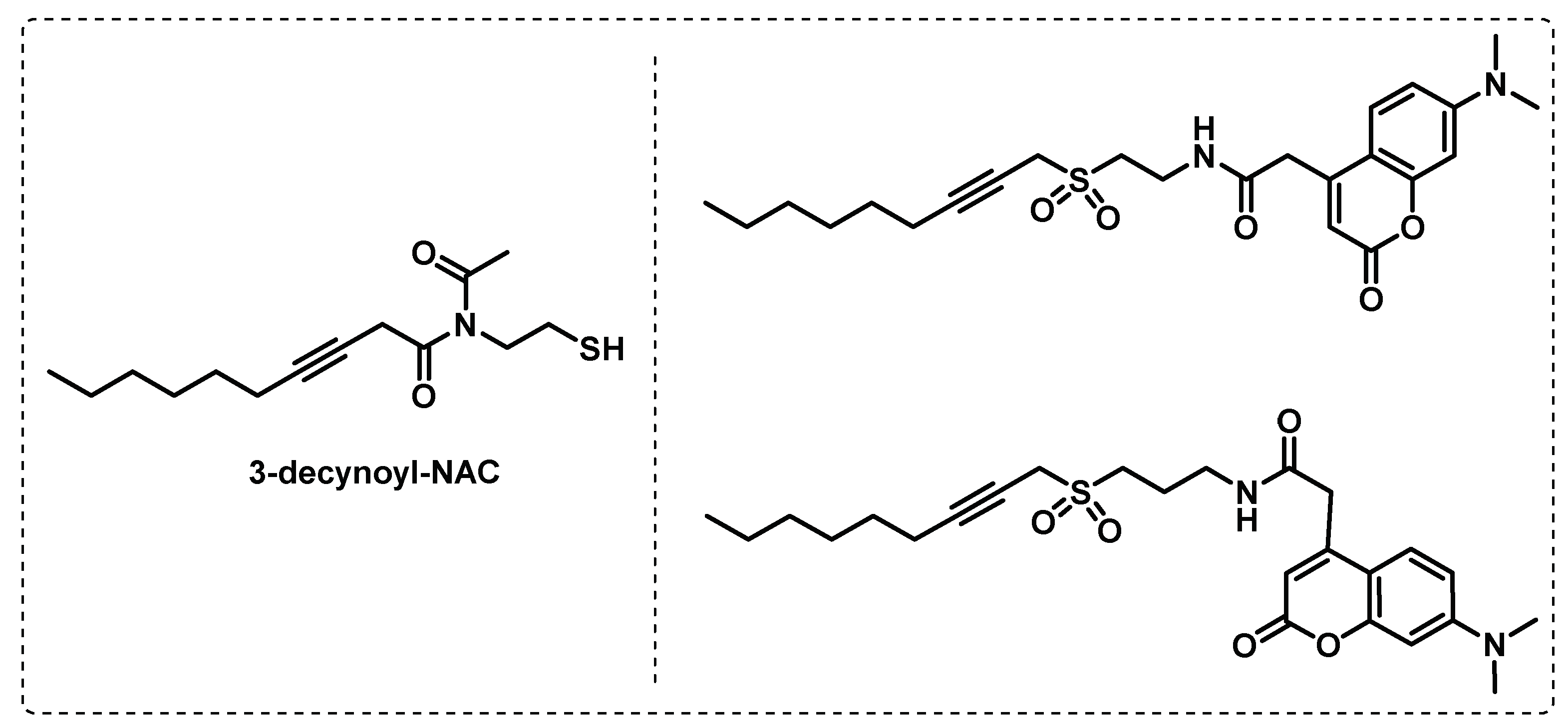 Preprints 75327 g019