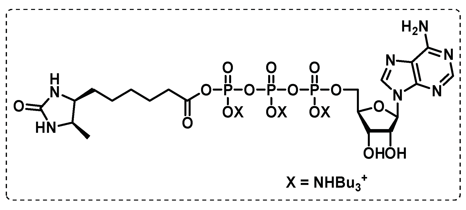 Preprints 75327 g022