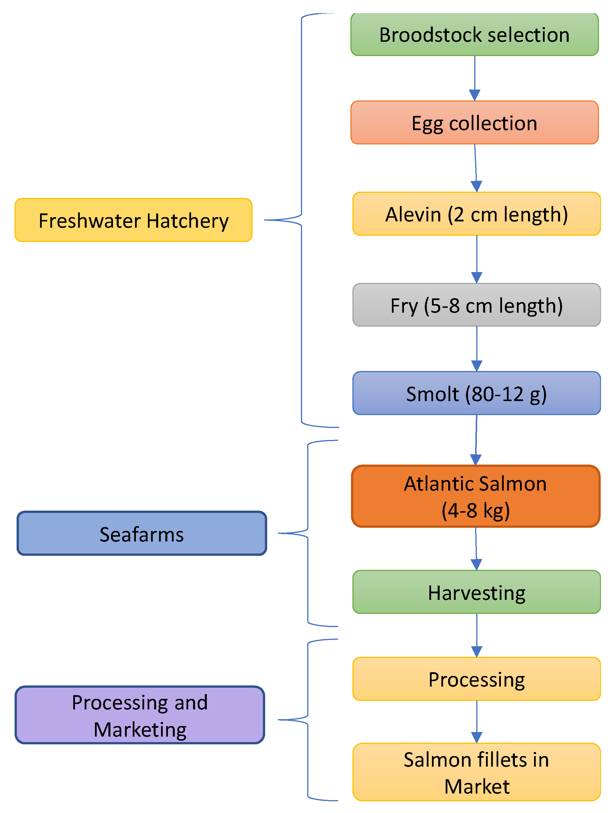 Preprints 70937 g004