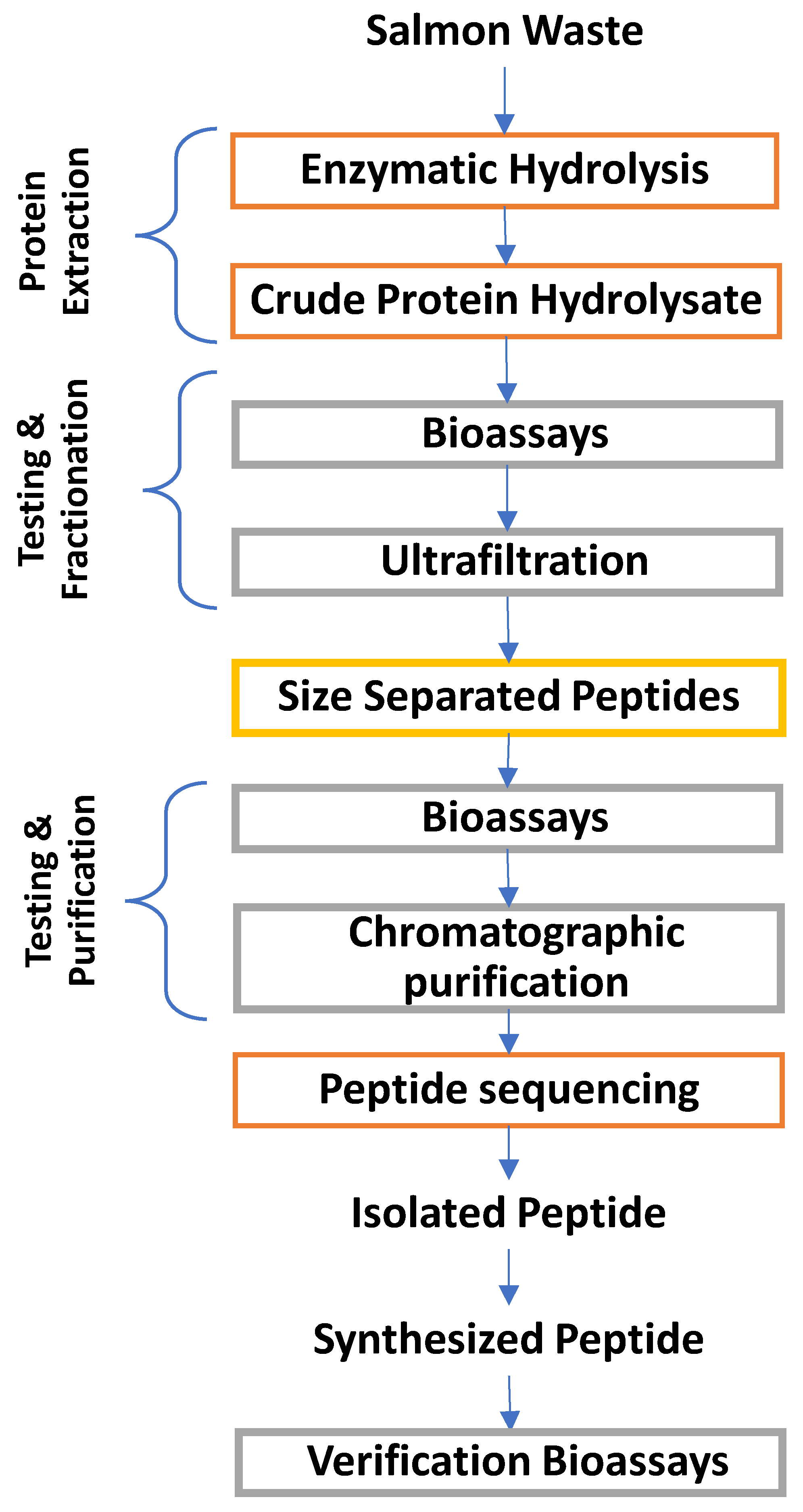 Preprints 70937 g007