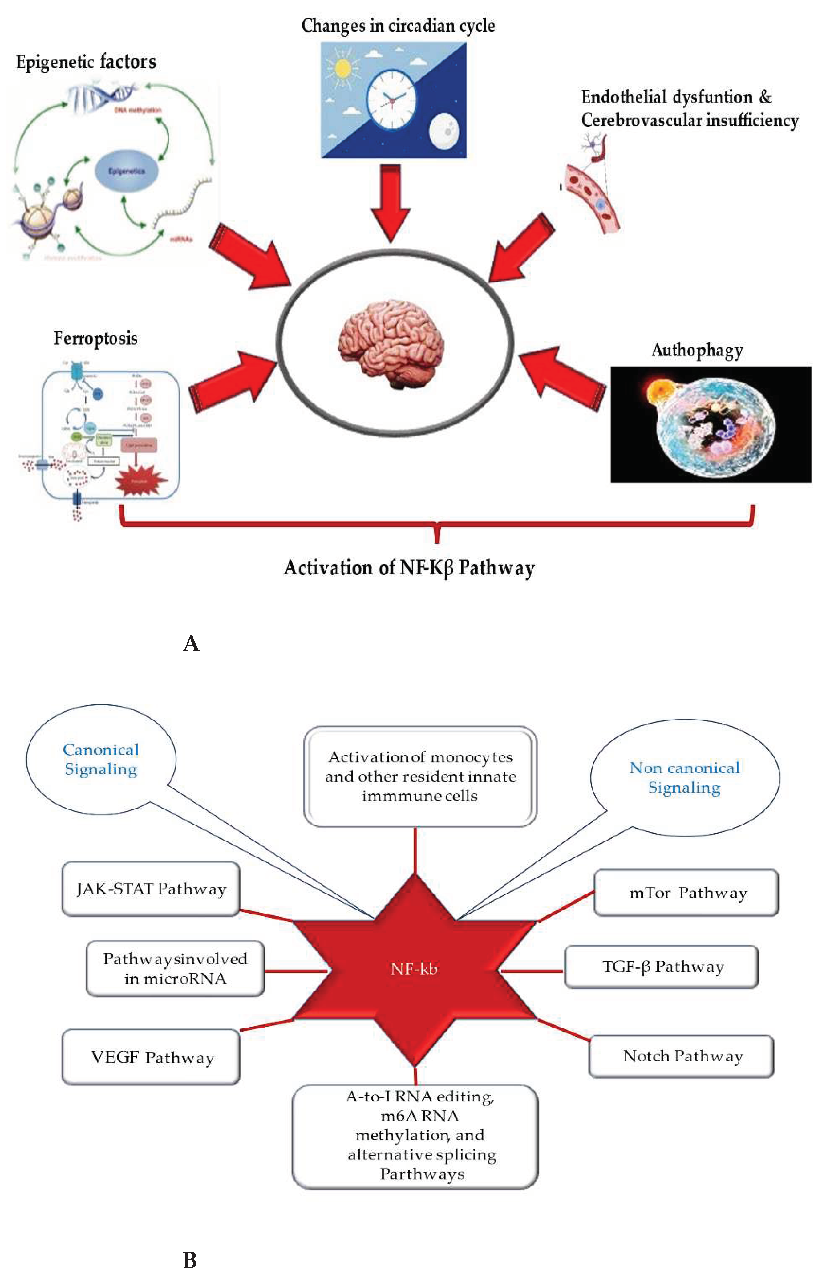 Preprints 91569 g002