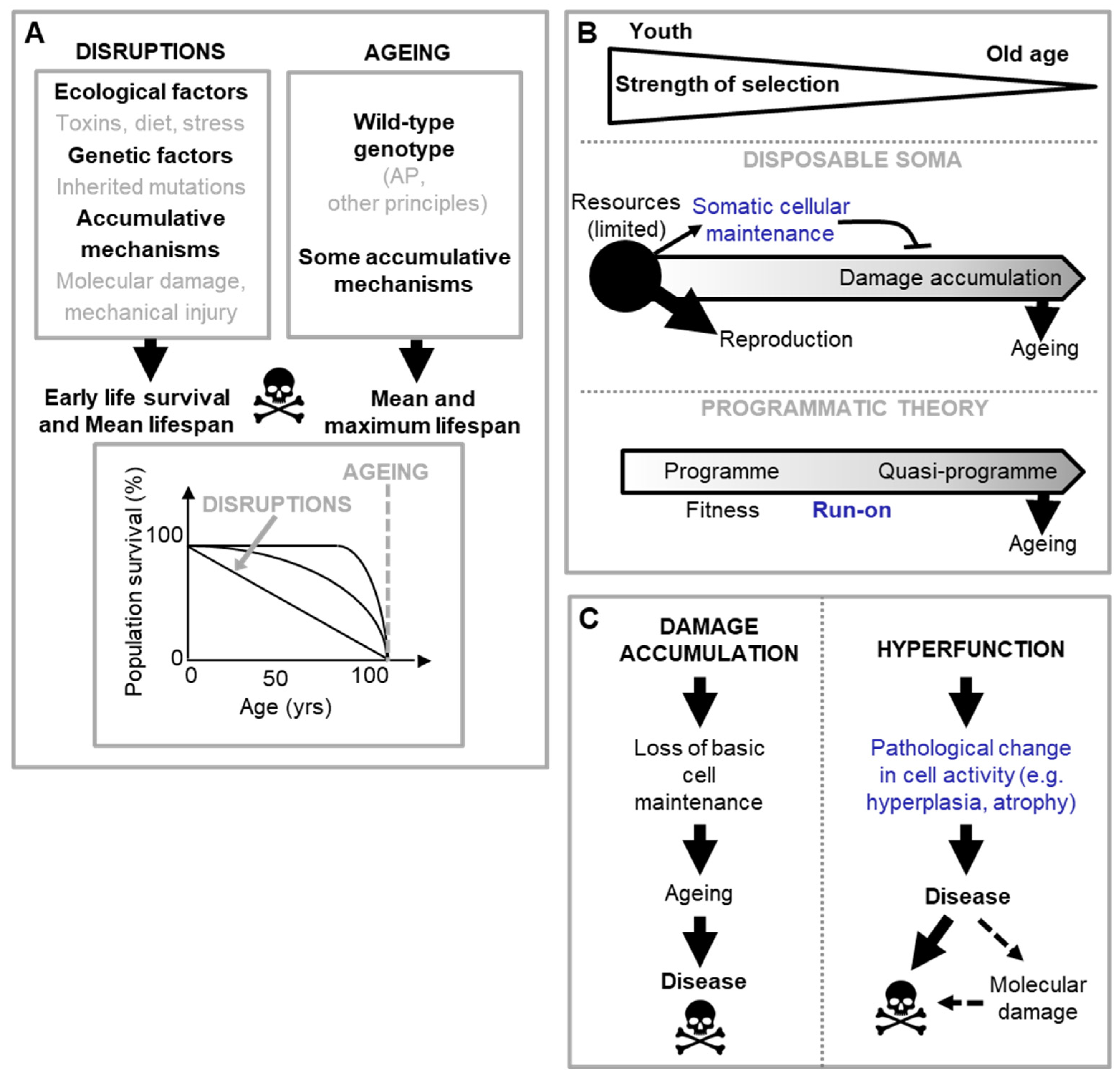 Preprints 88443 g001