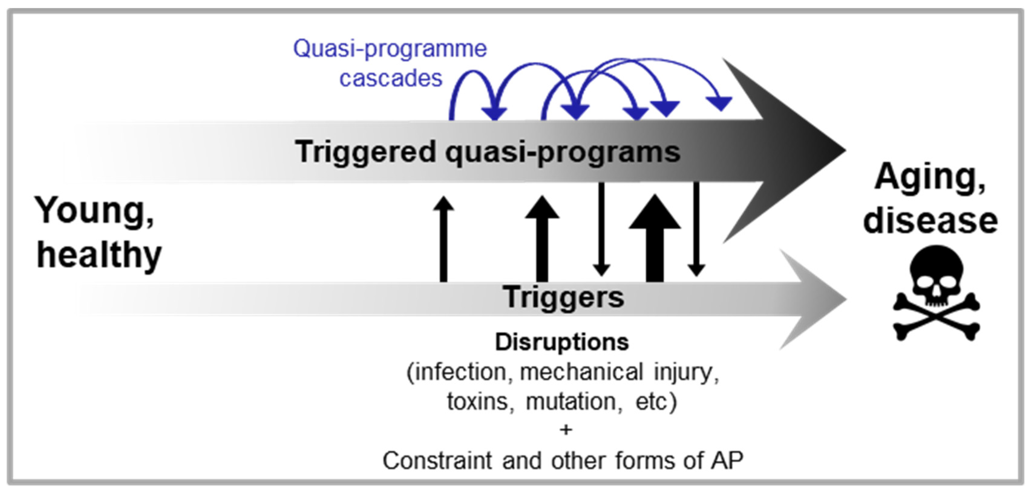 Preprints 88443 g003