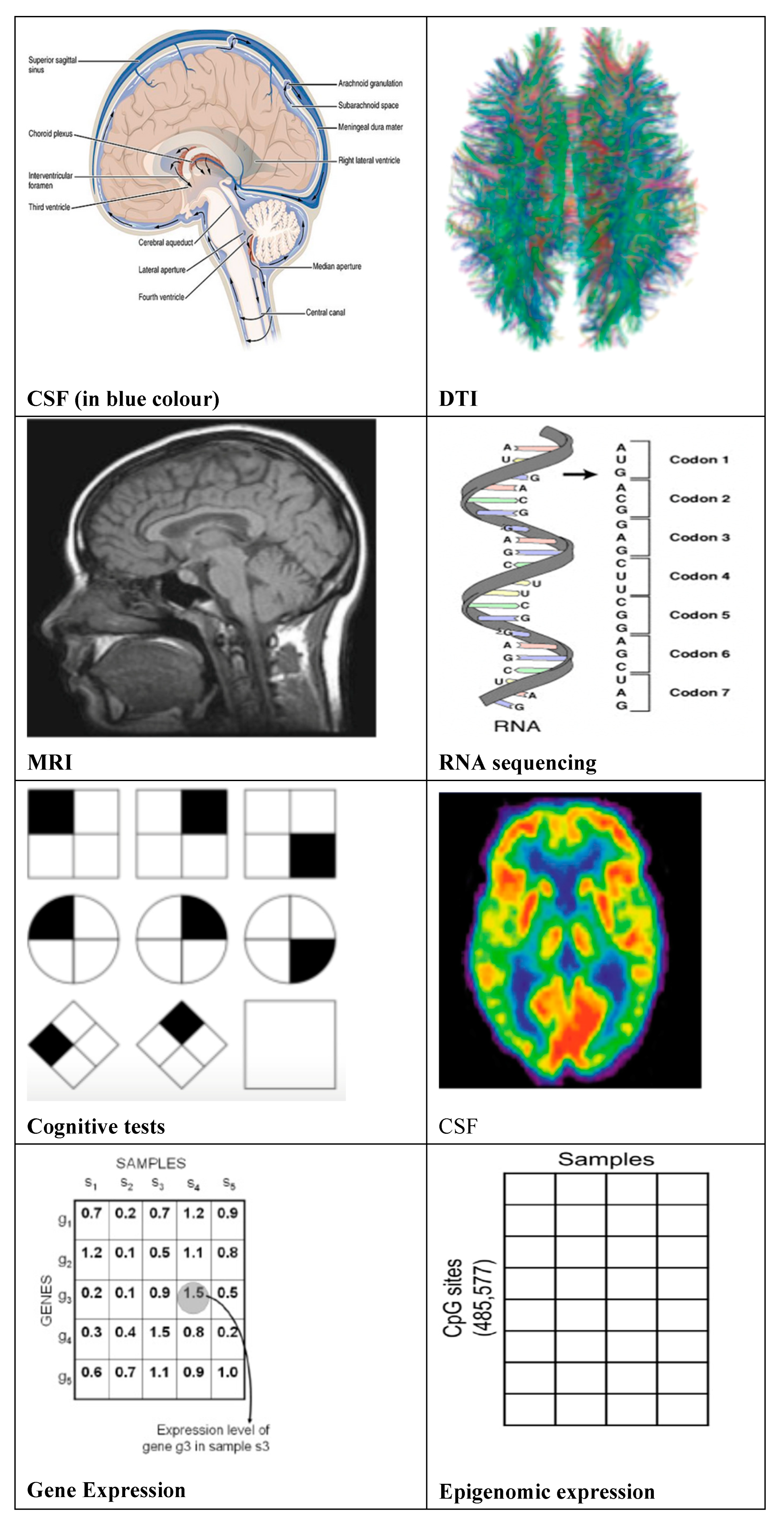 Preprints 116979 g002