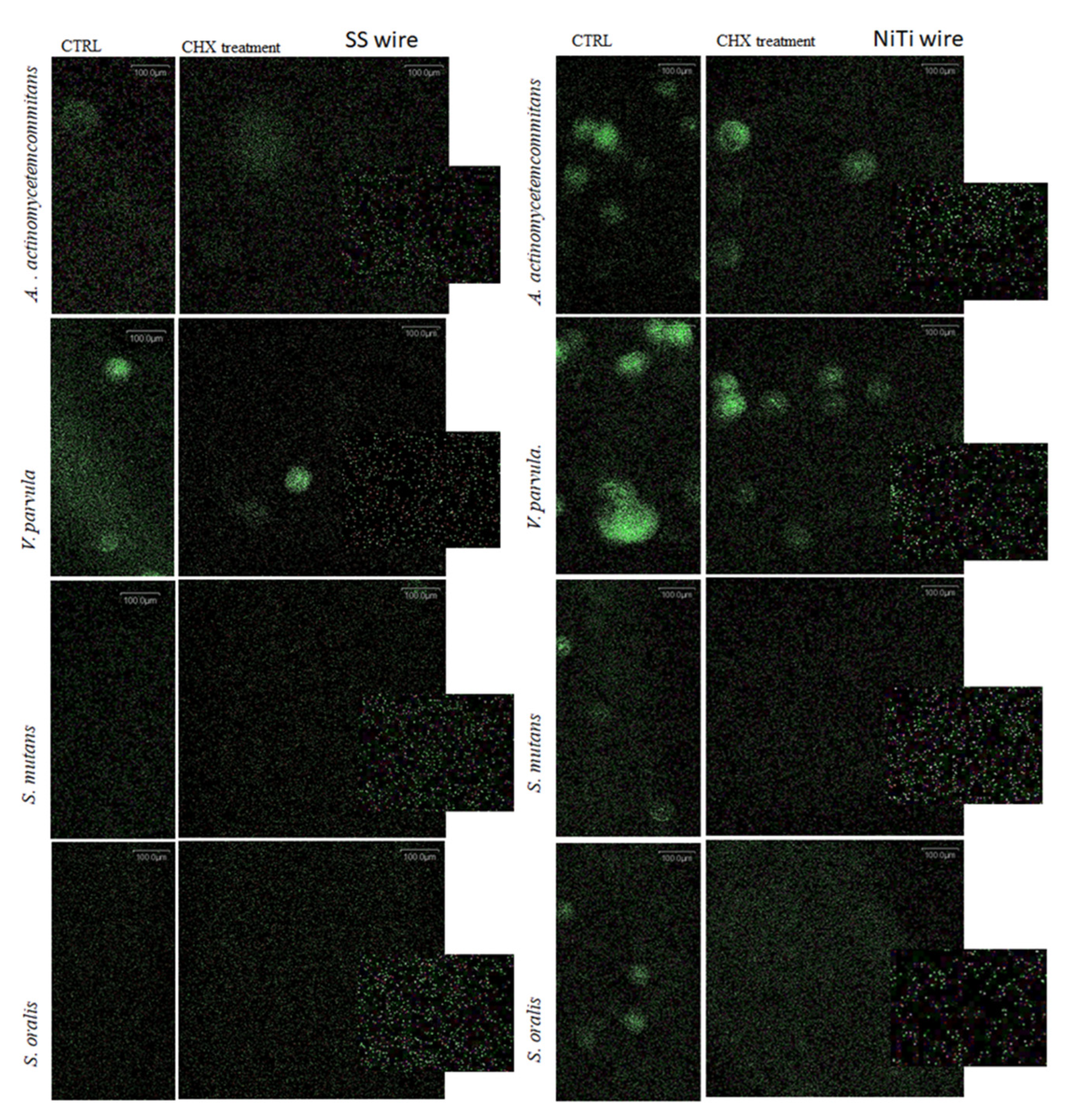 Preprints 96818 g003