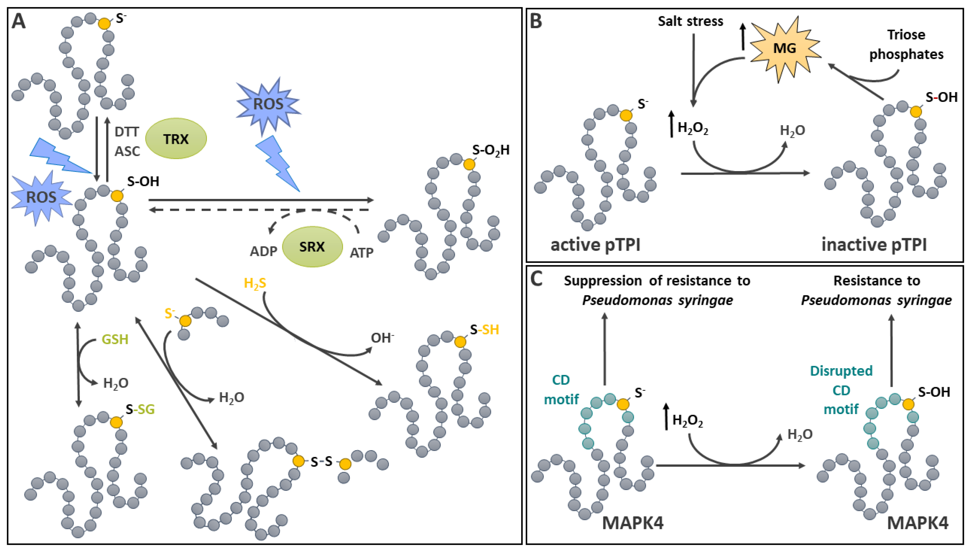 Preprints 114529 g001