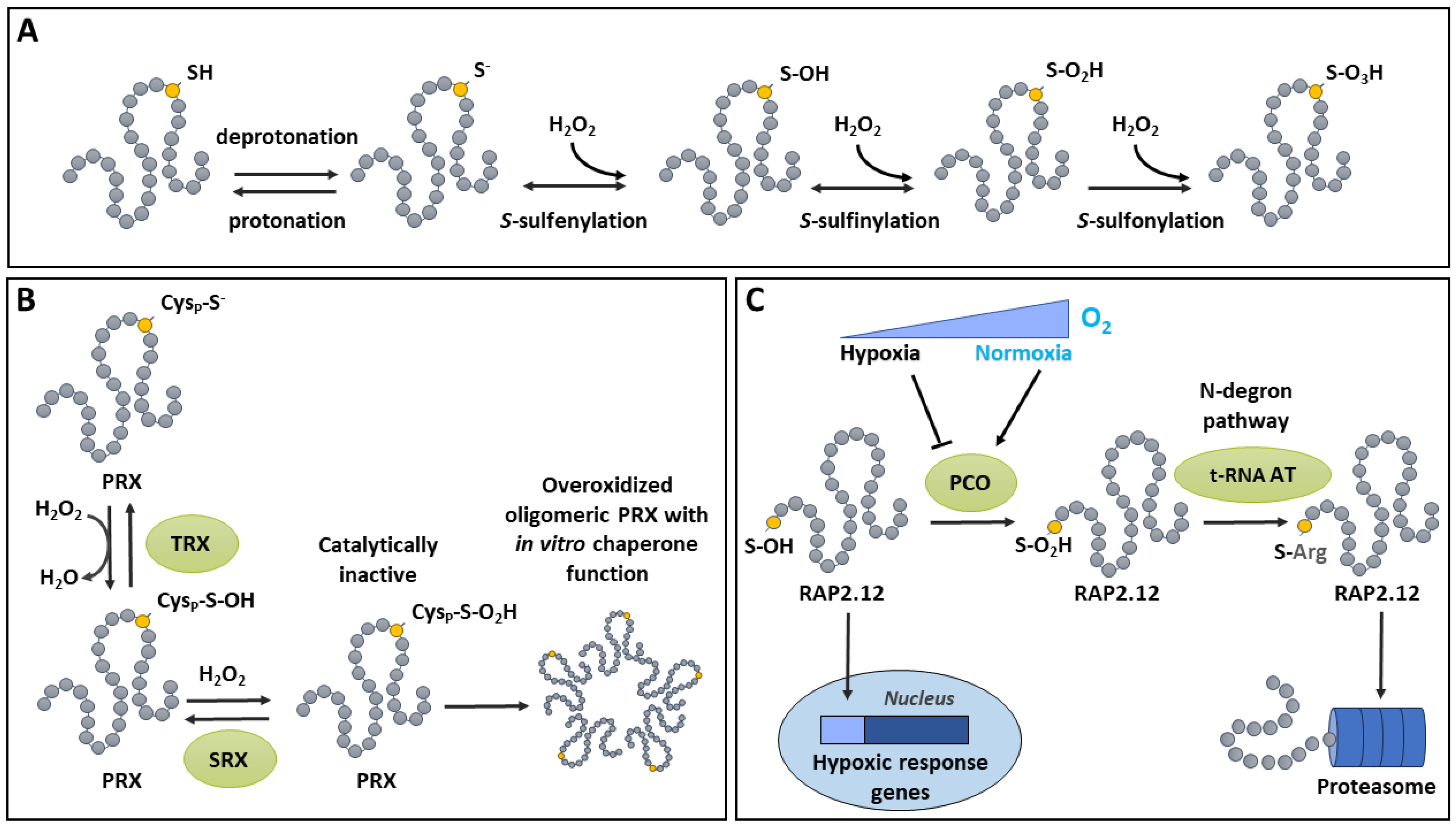 Preprints 114529 g002