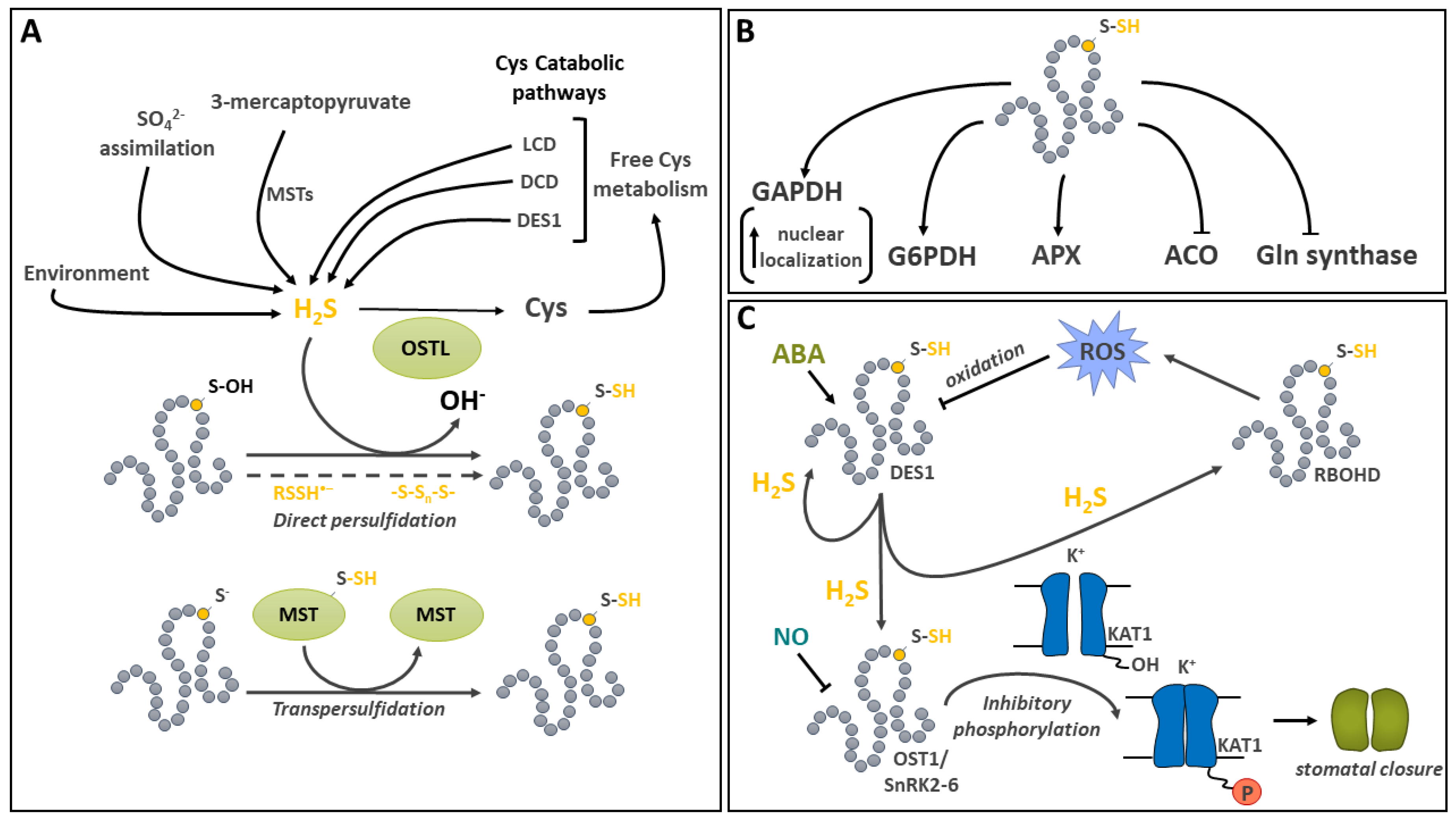 Preprints 114529 g005