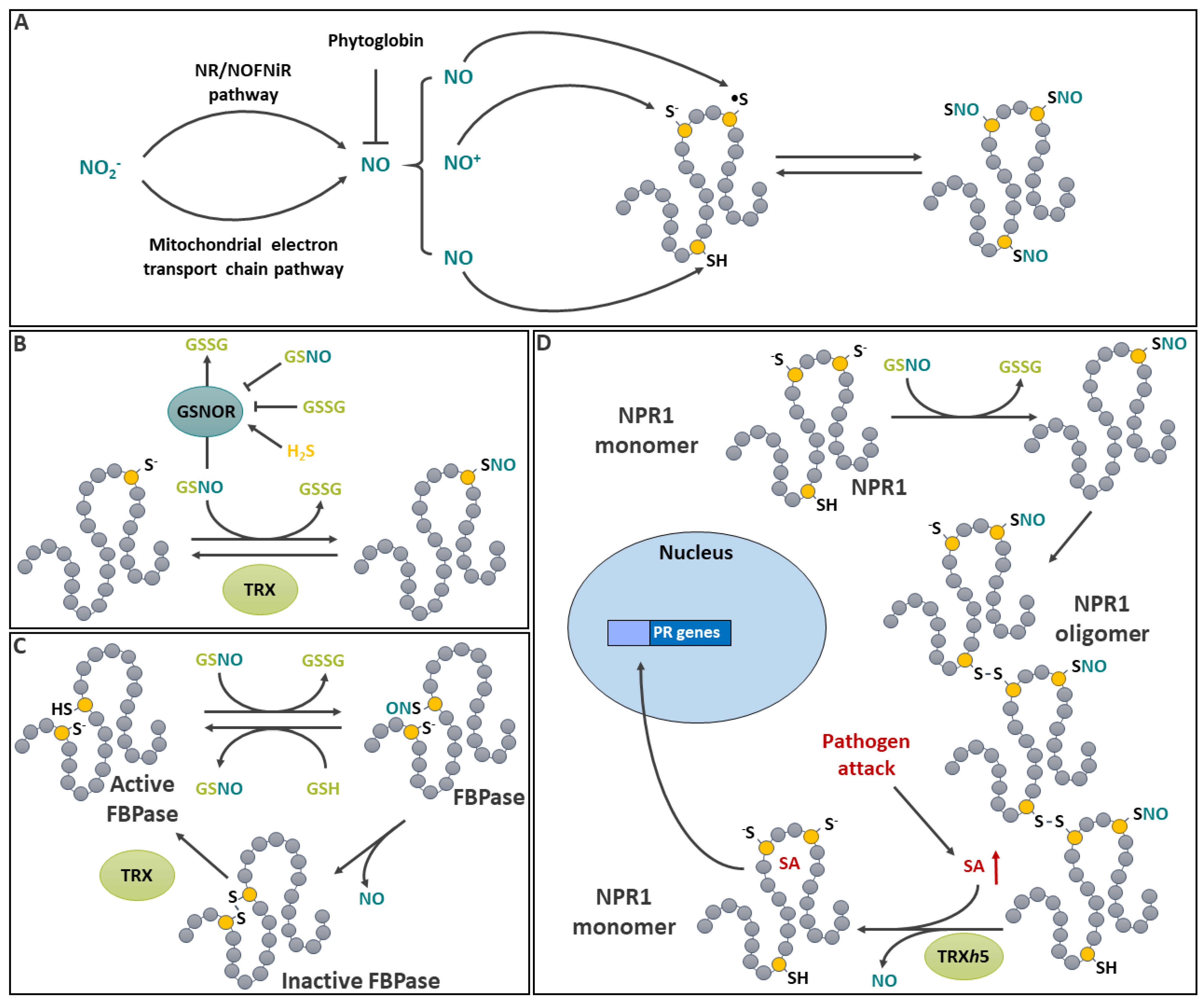 Preprints 114529 g007