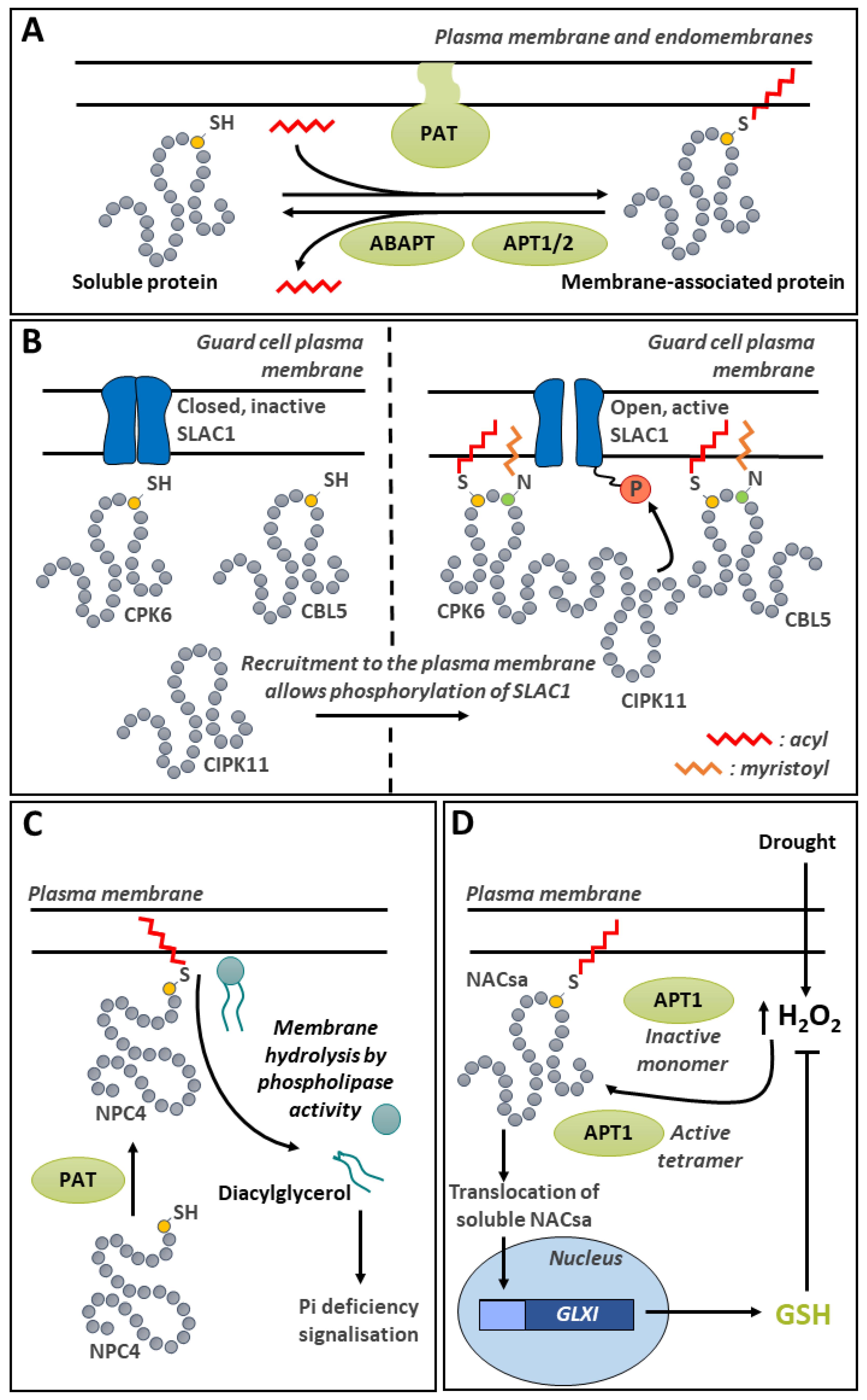 Preprints 114529 g009