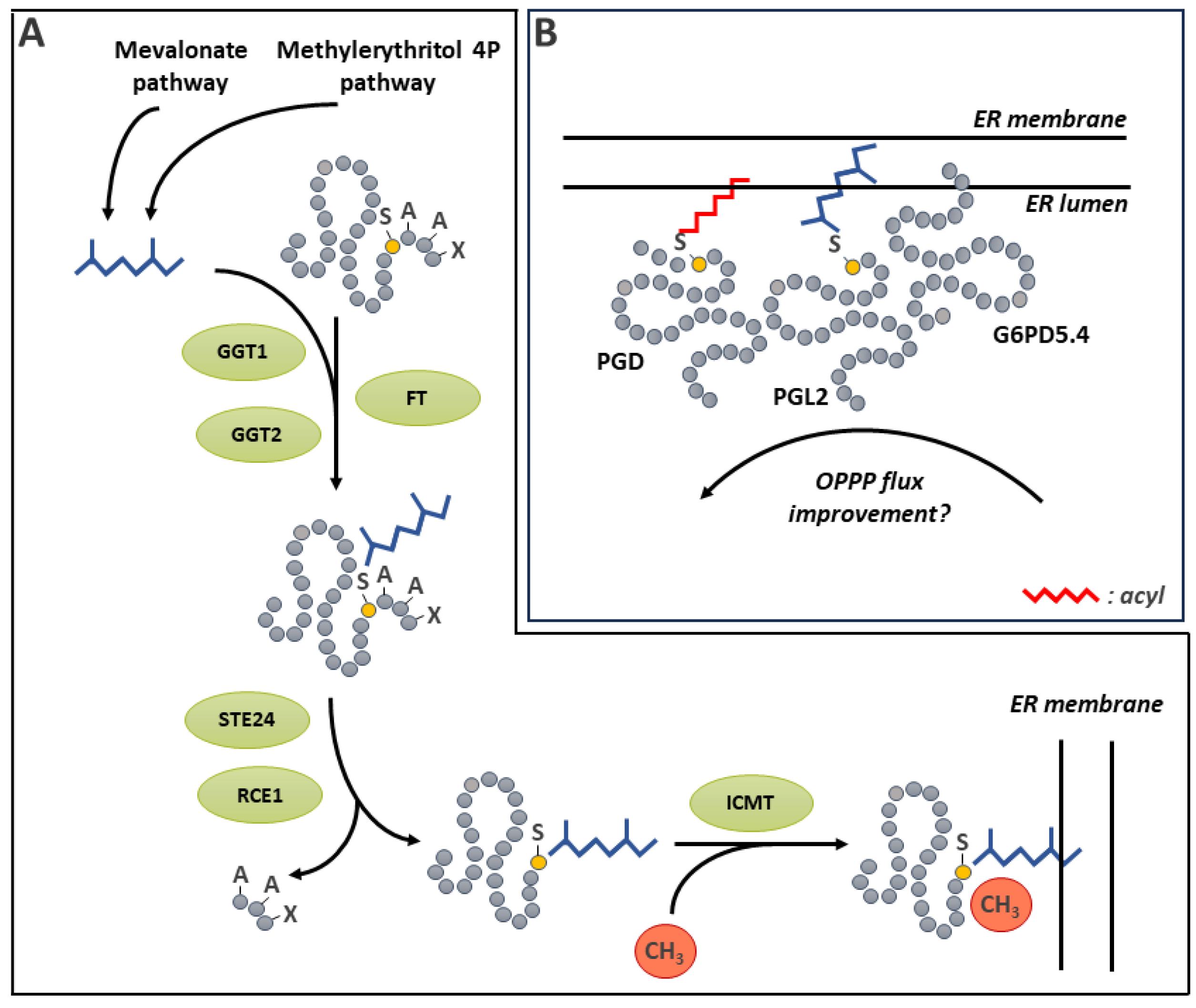 Preprints 114529 g010