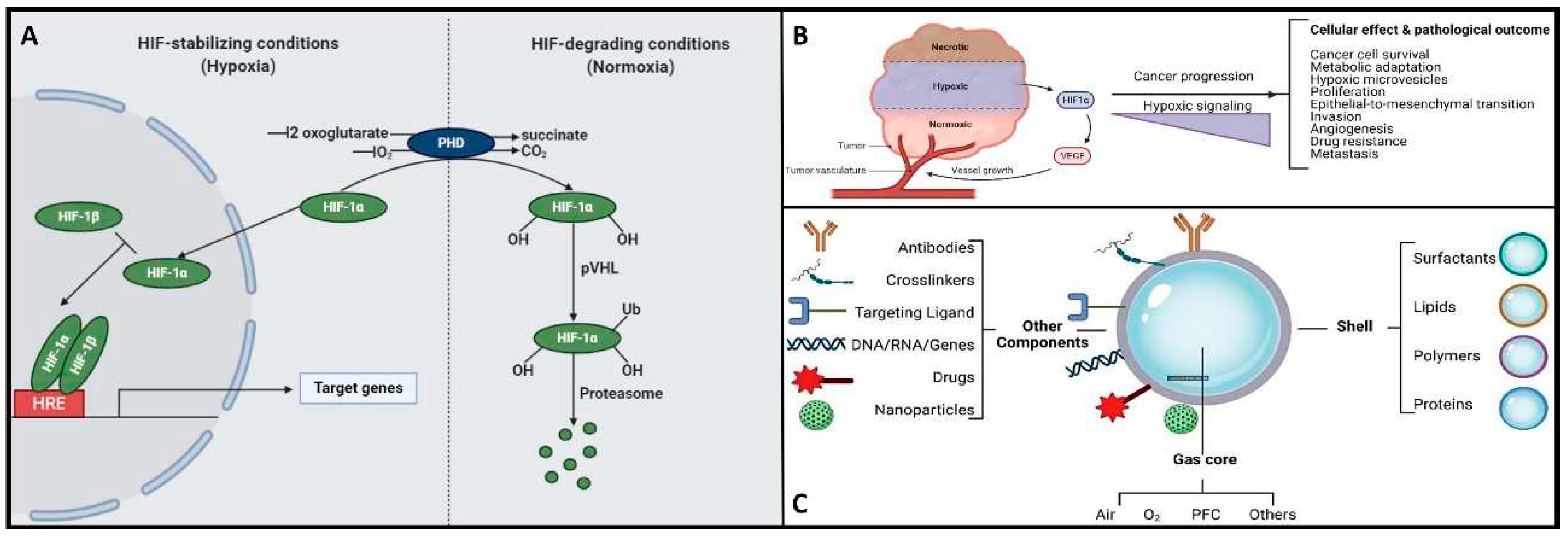 Preprints 87794 g003