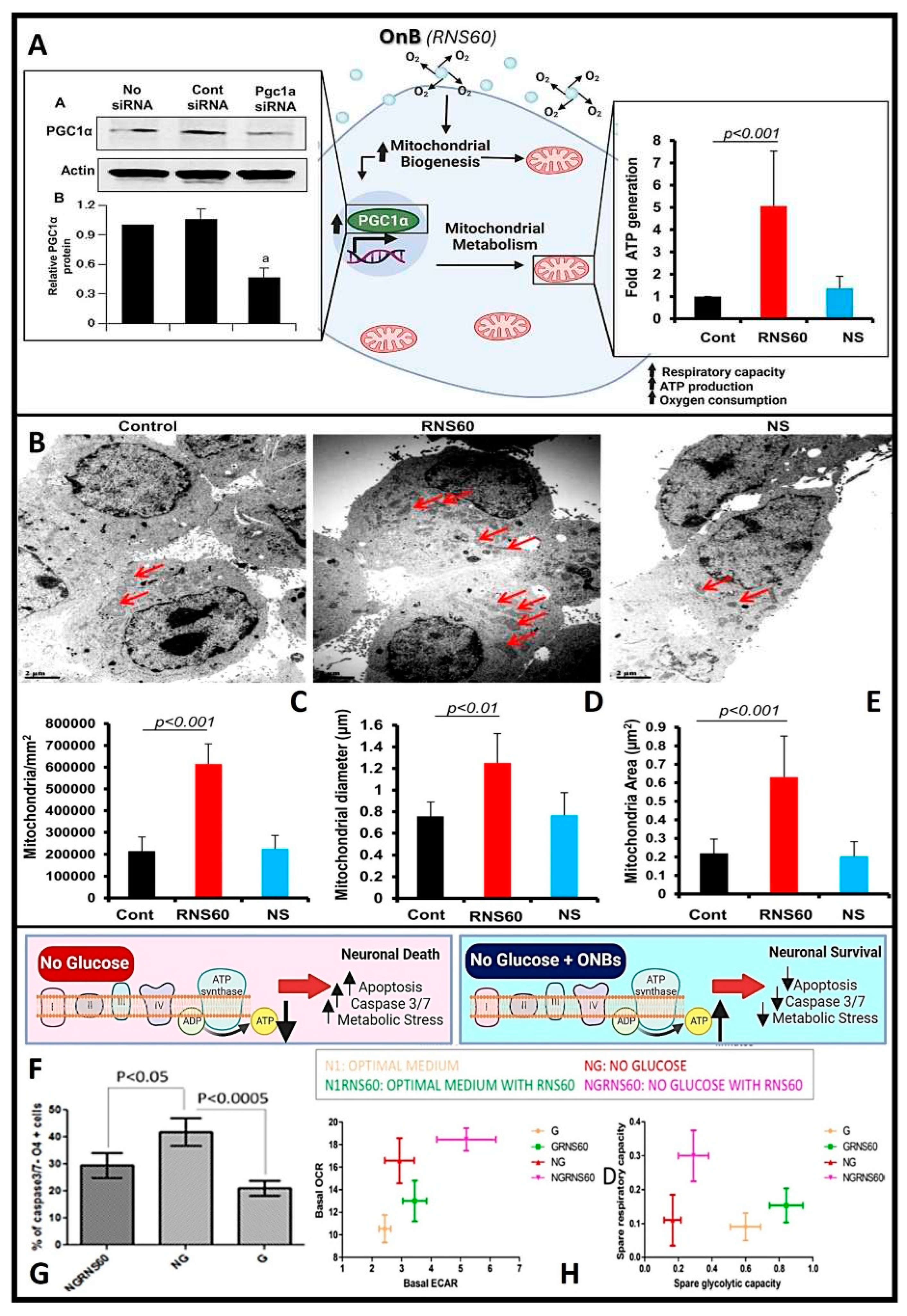 Preprints 87794 g004