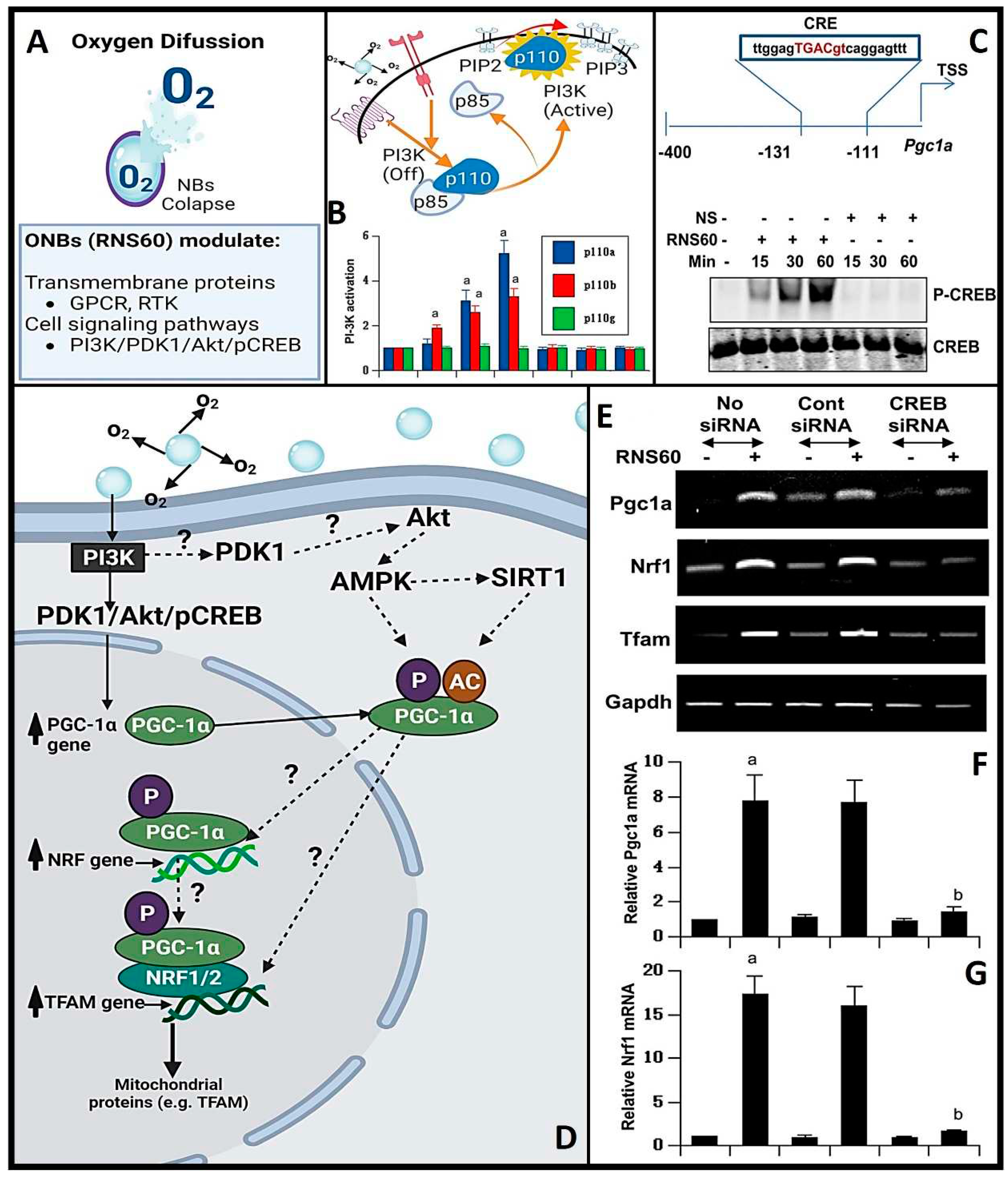 Preprints 87794 g005