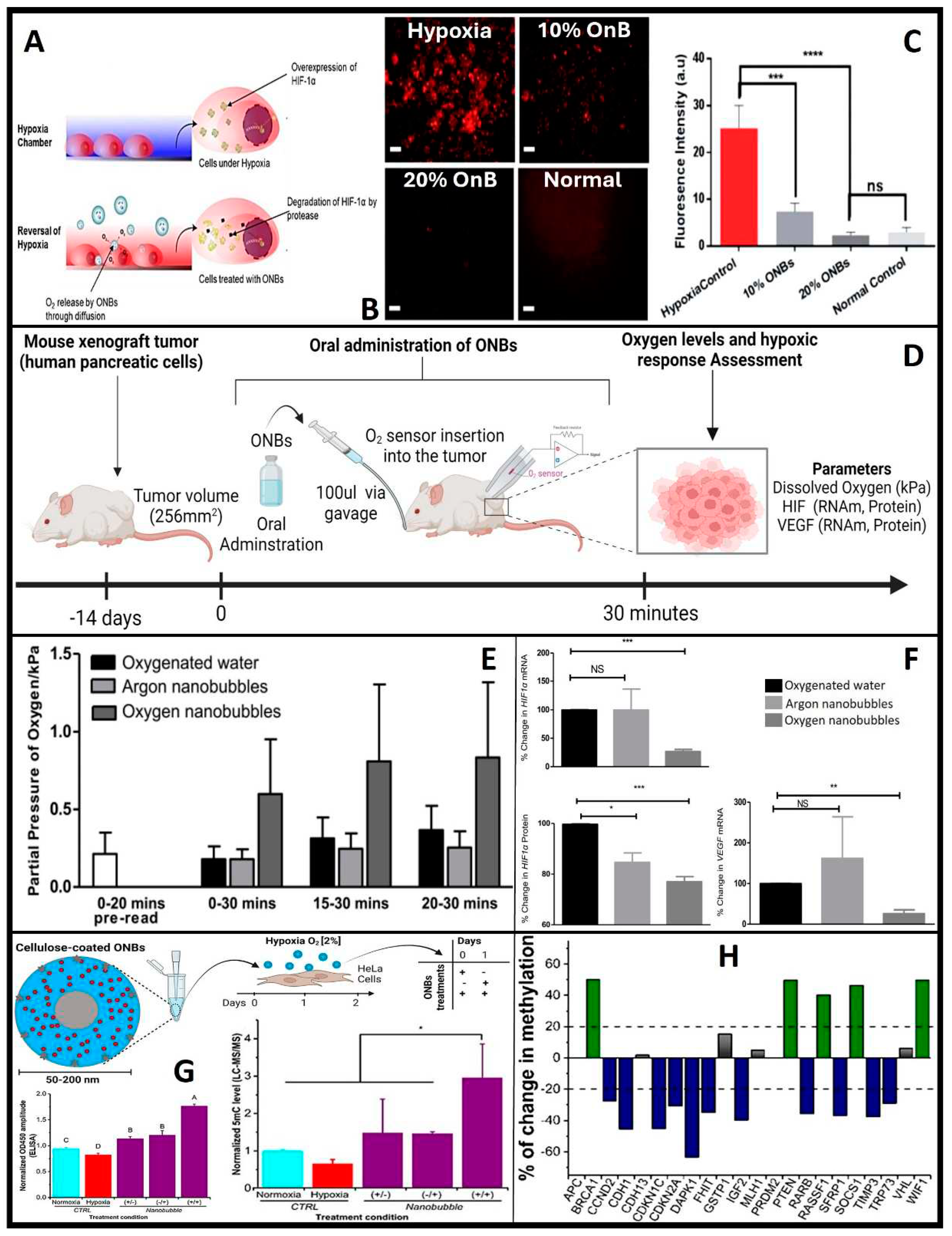 Preprints 87794 g006