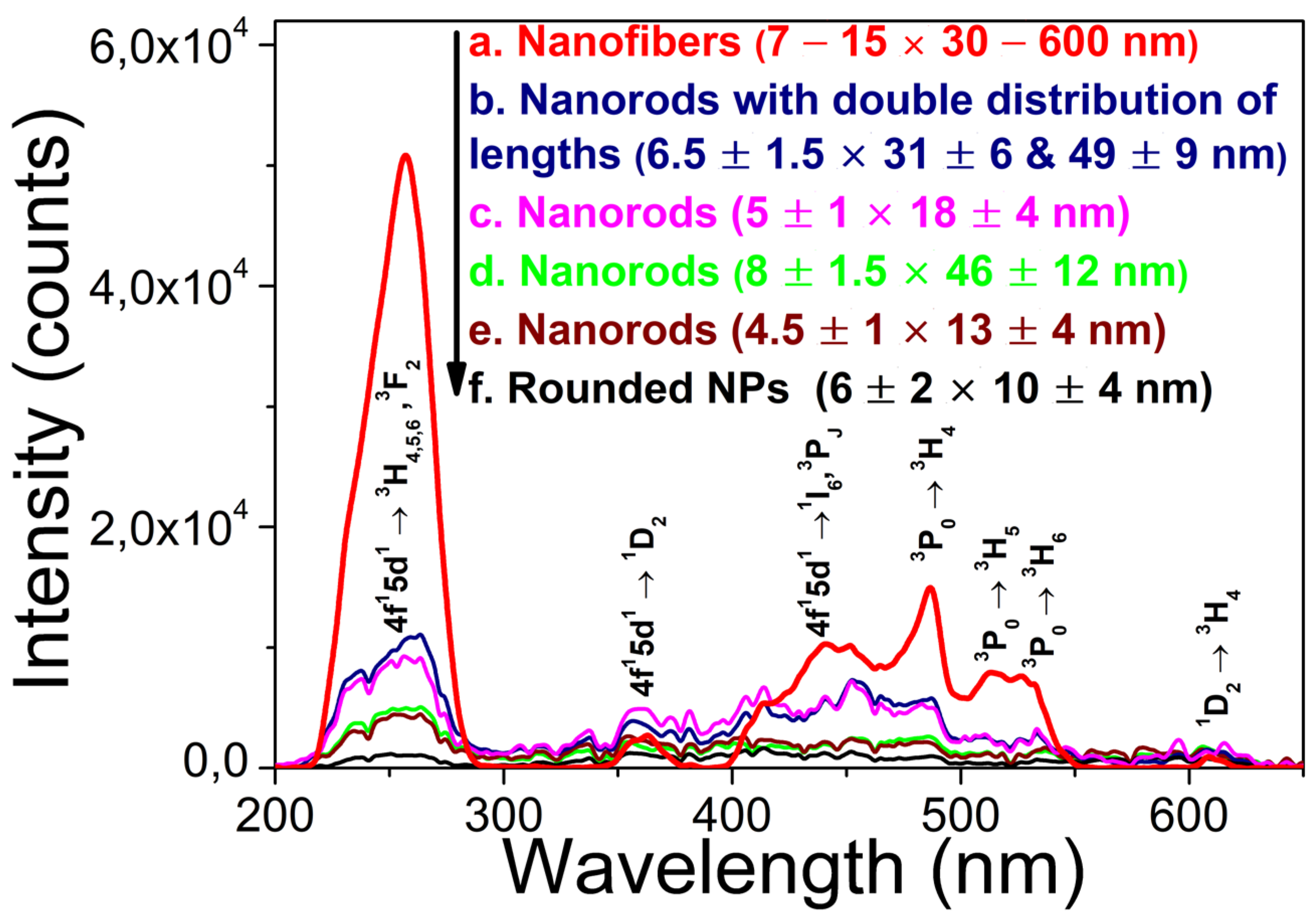 Preprints 90606 g006