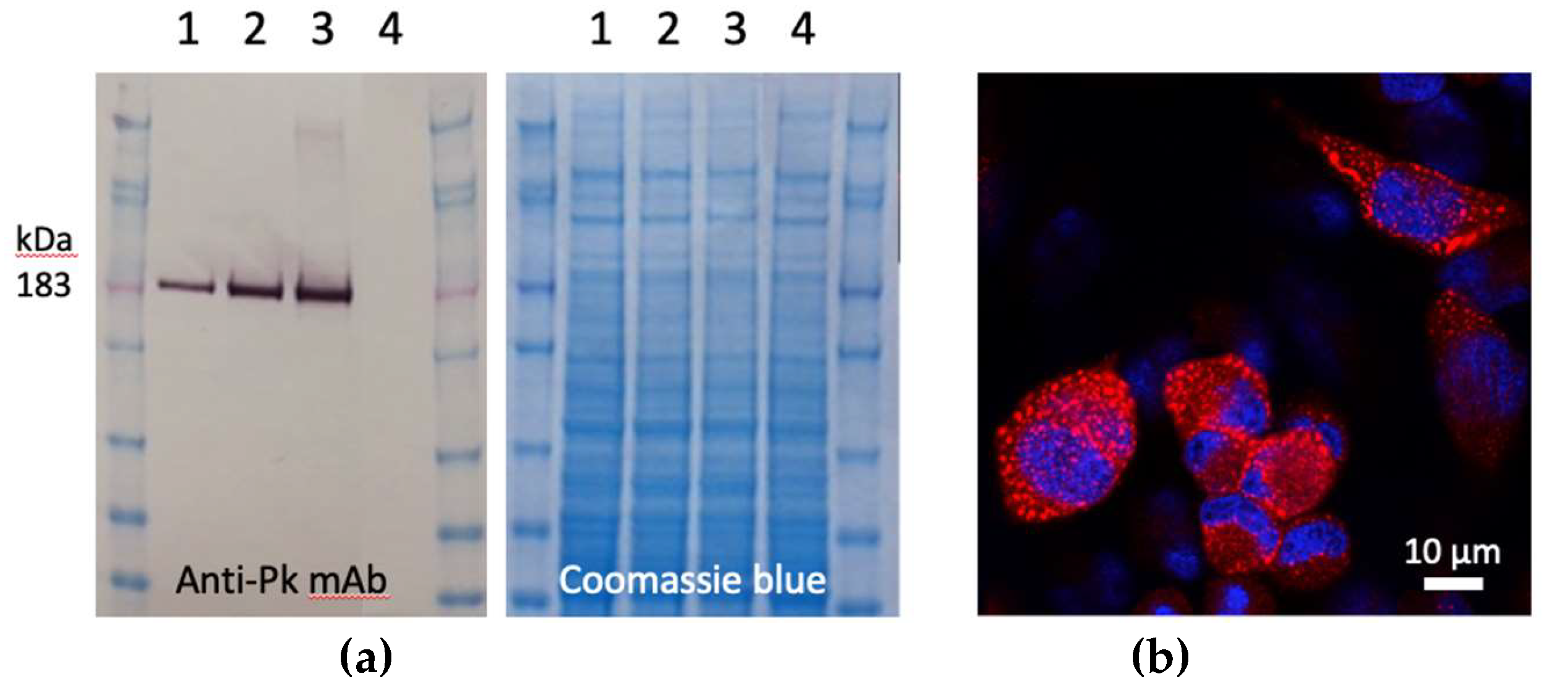 Preprints 113921 g002