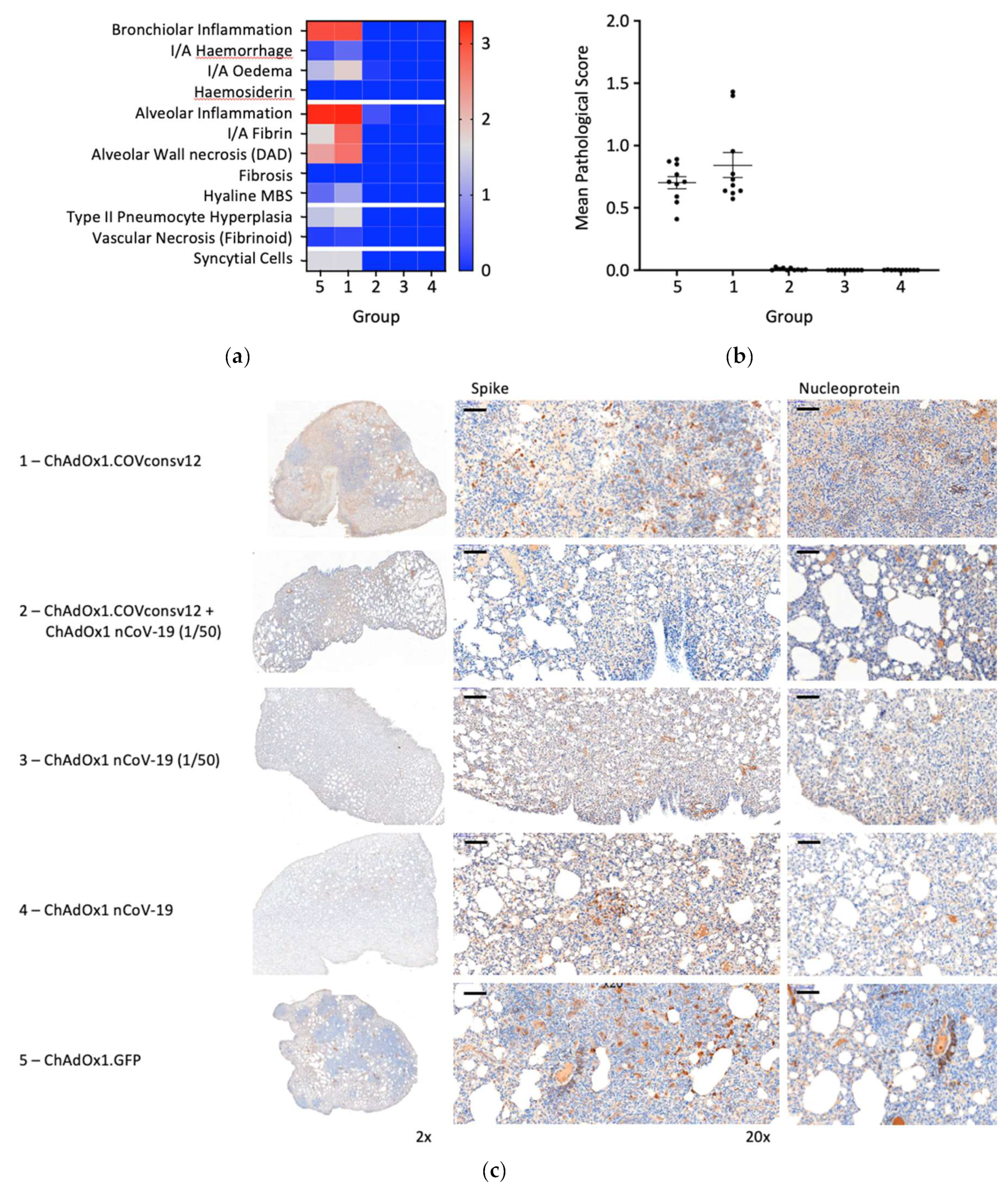 Preprints 113921 g006