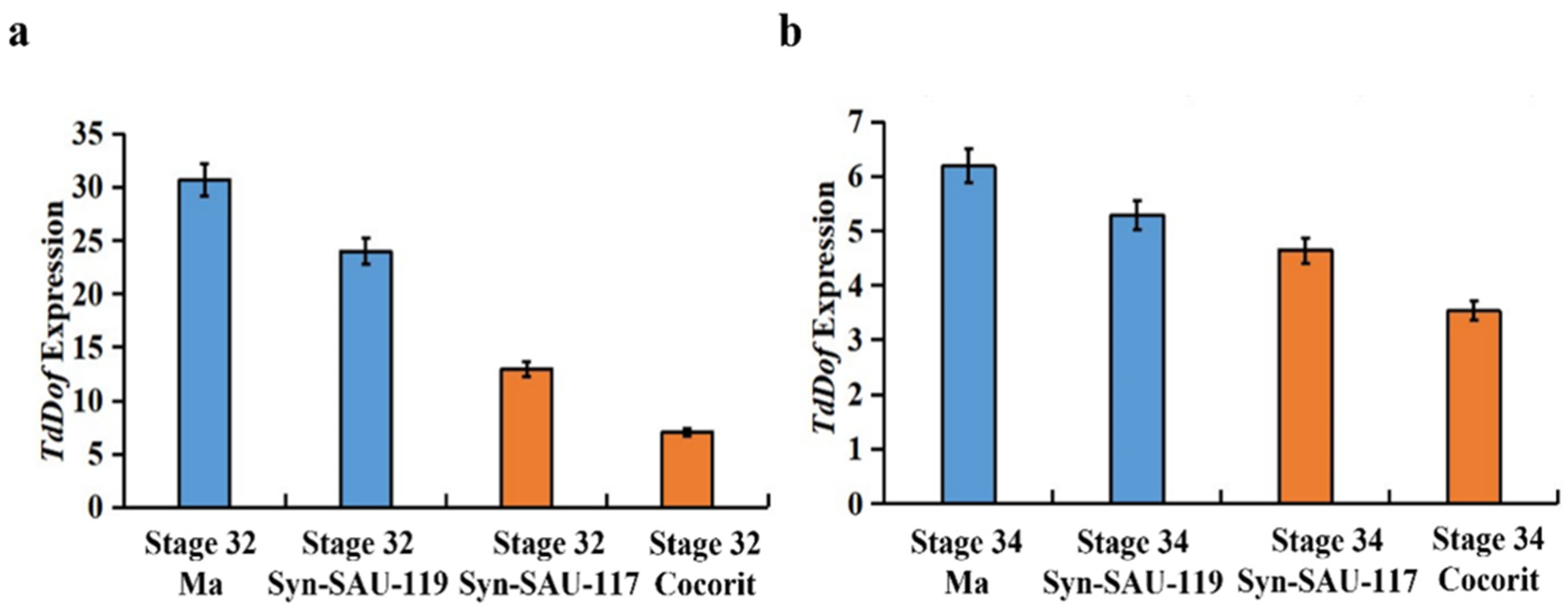 Preprints 80052 g001