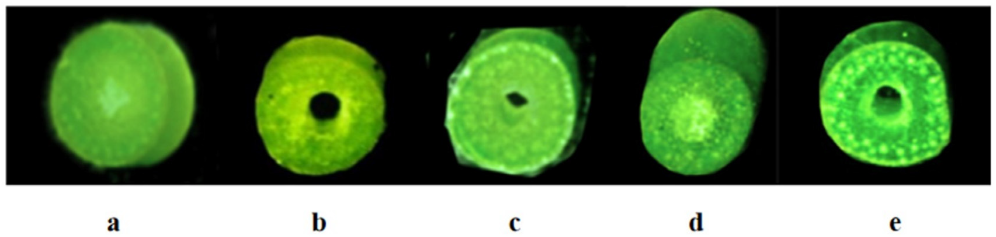 Preprints 80052 g002