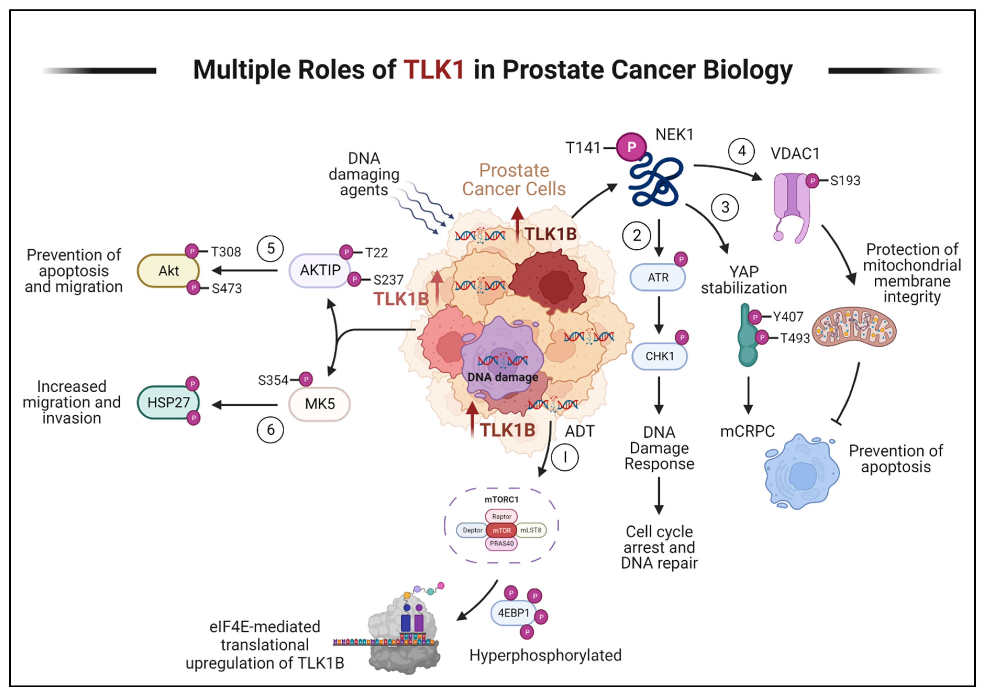 Preprints 77311 g002