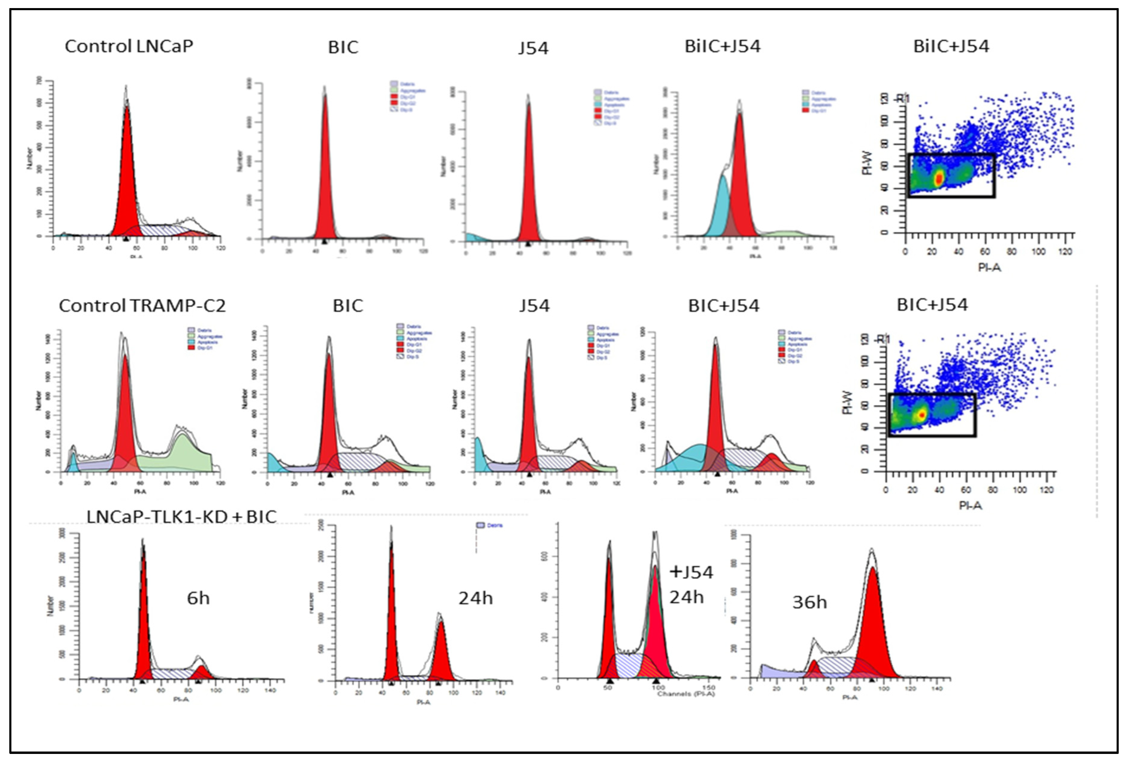 Preprints 77311 g003a